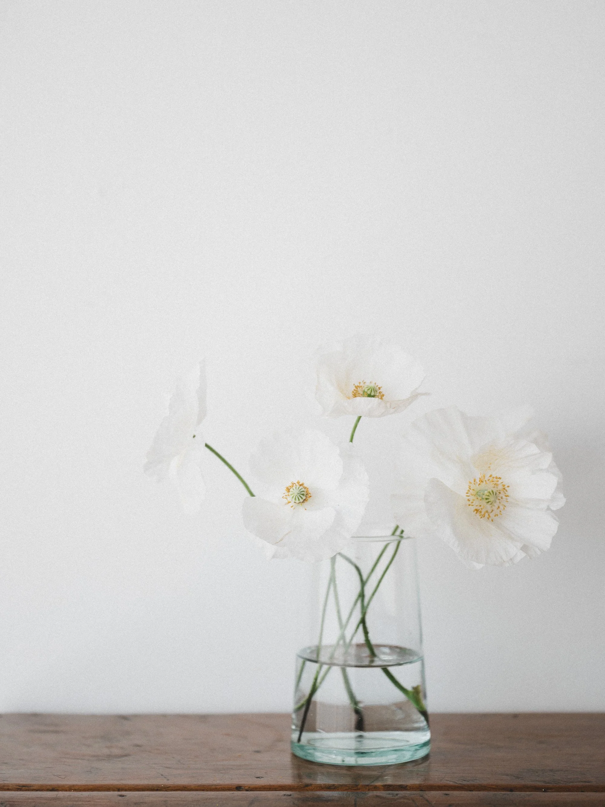 The New White Space Studio is Live
