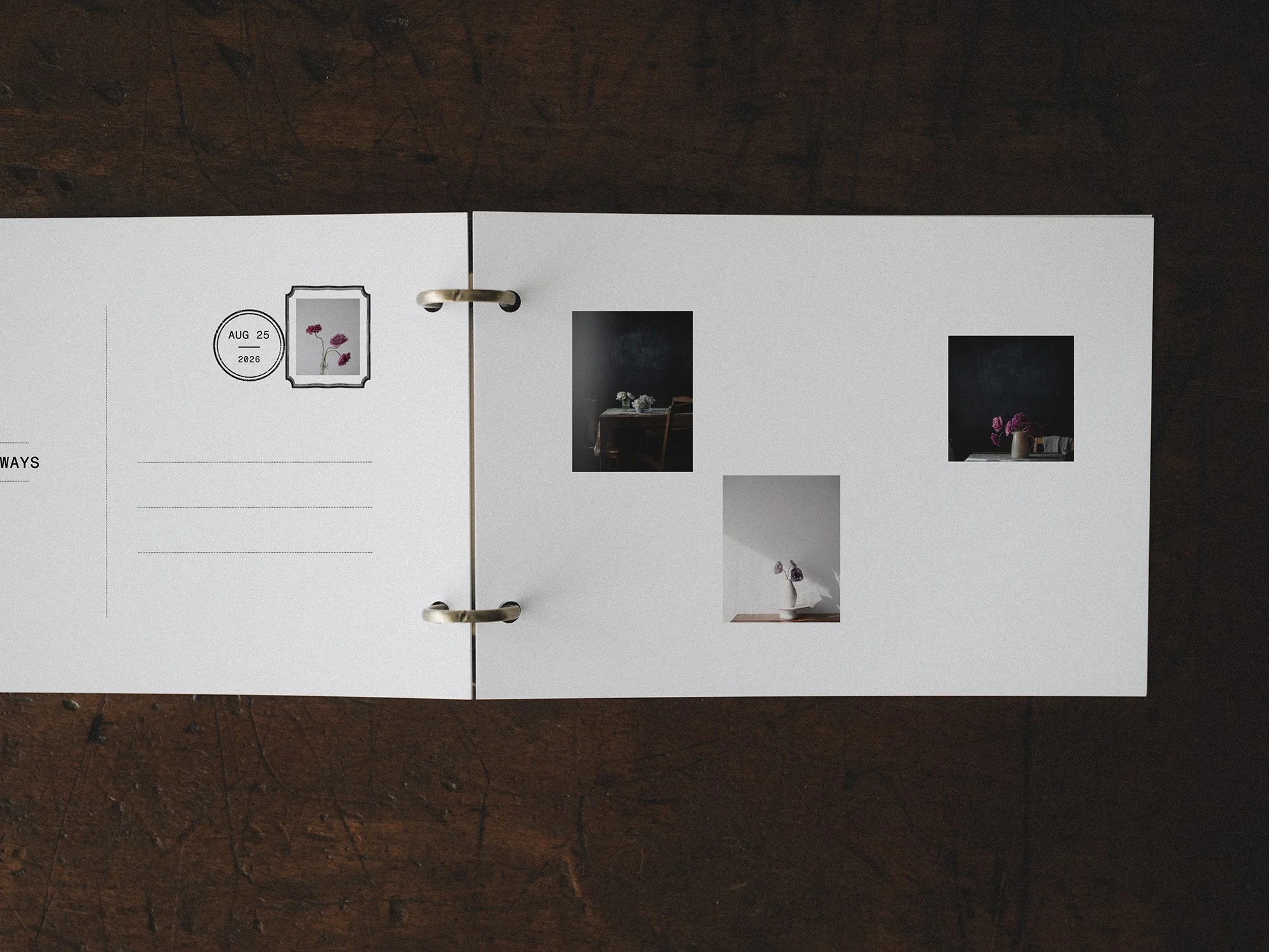 Frame to Postcard — 3-minute Tutorial