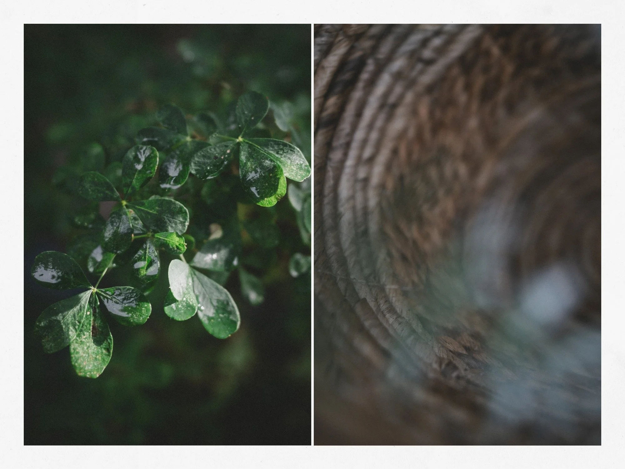 FRAME - CONTACT PRINTS, GIFS &amp; VIDEO