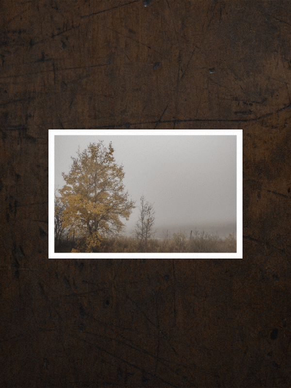 SOCIAL —&nbsp;FLIP A PAGE FEATURE