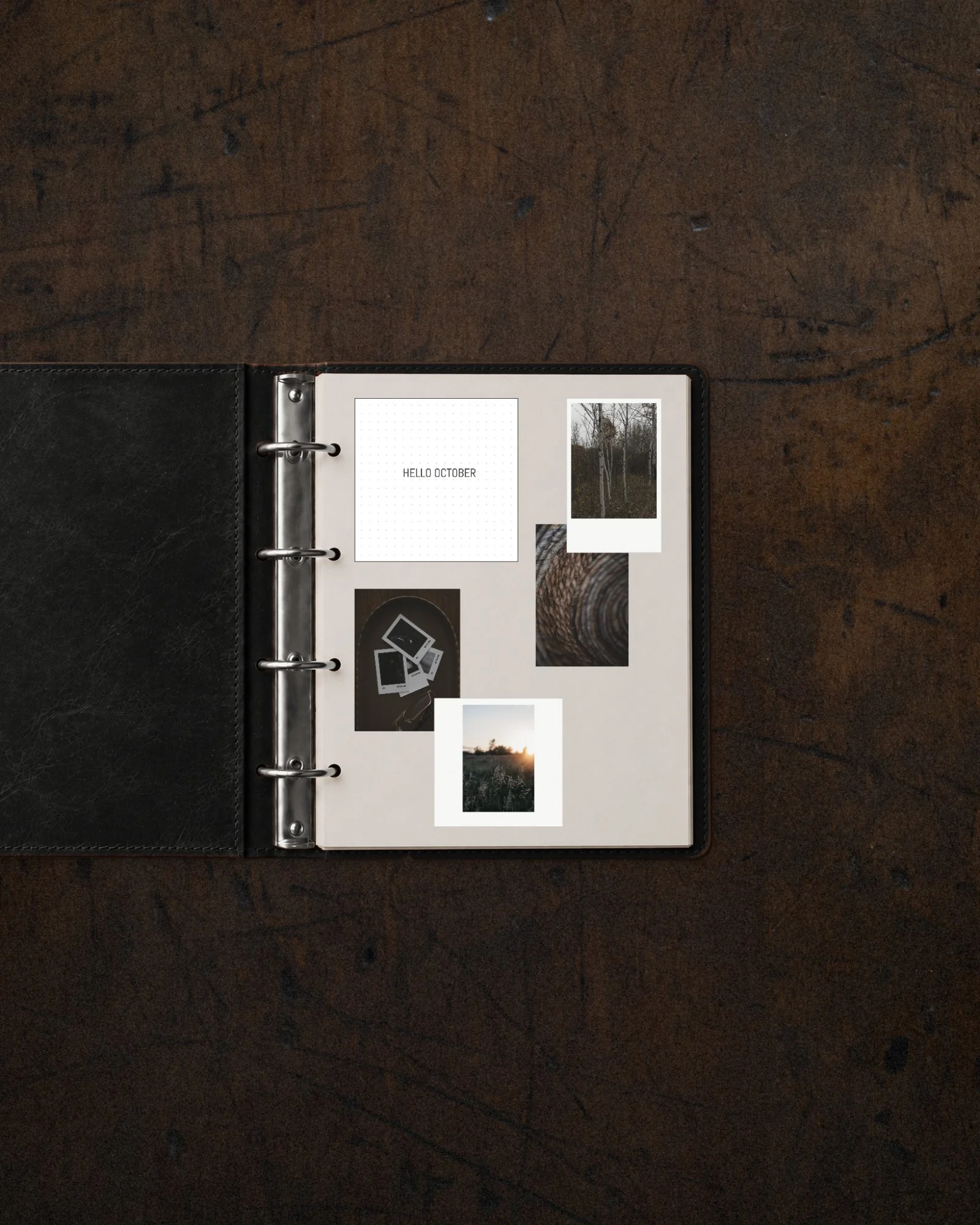 PROOF —&nbsp;PHOTO JOURNAL PAGES