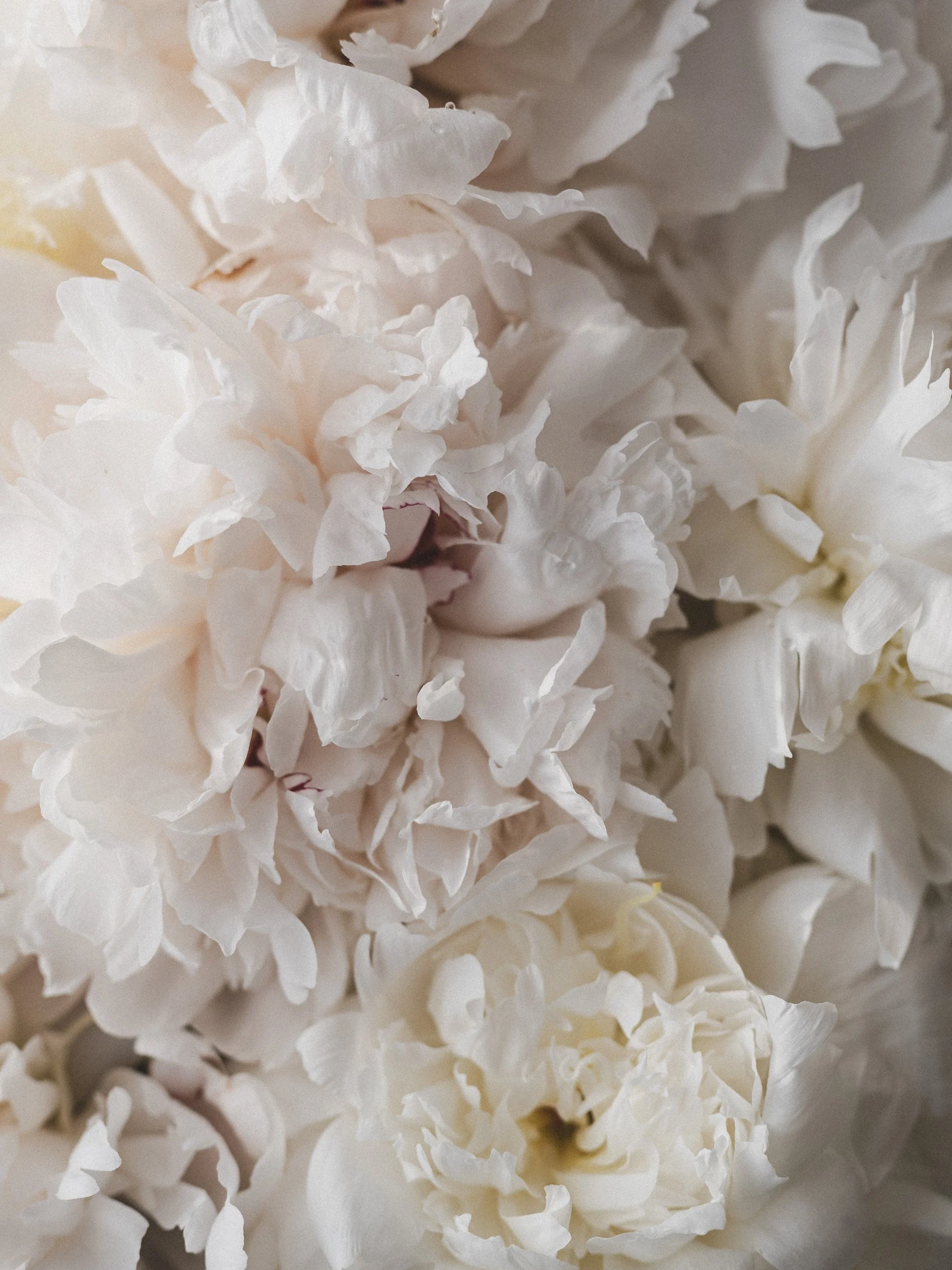 STYLED - SIGNATURE MOOD