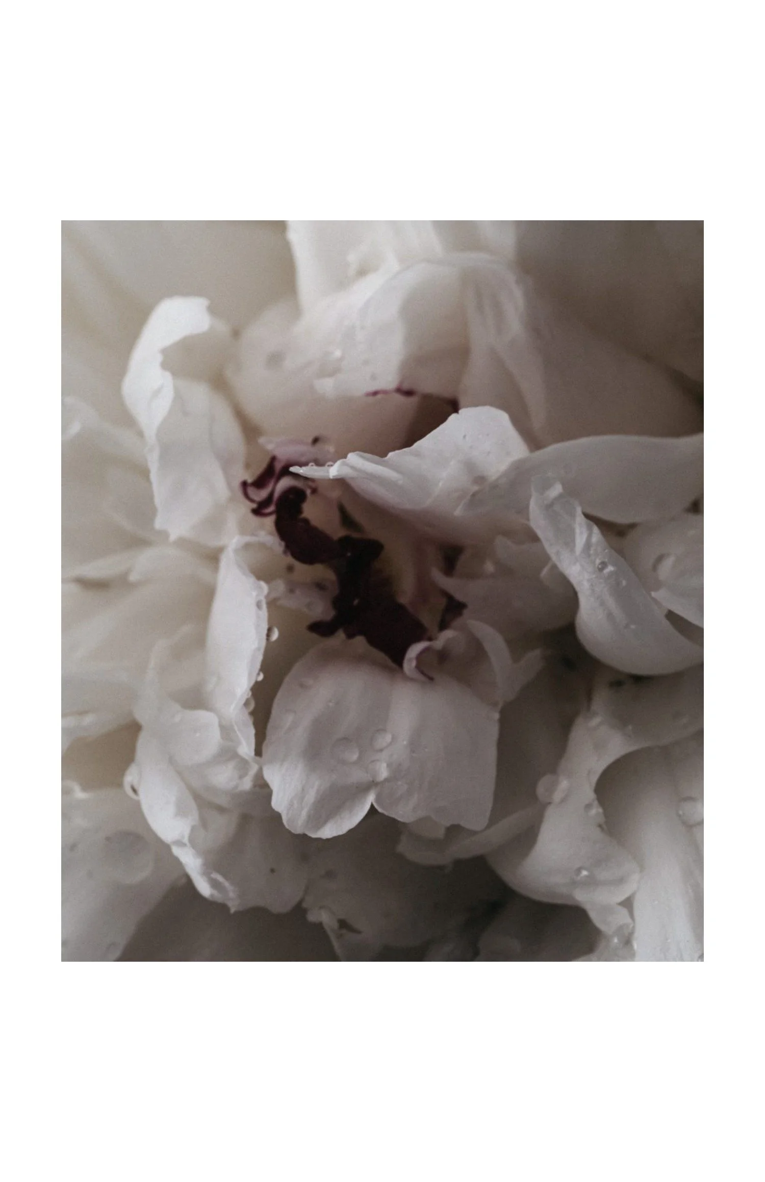 01-cover.jpg
