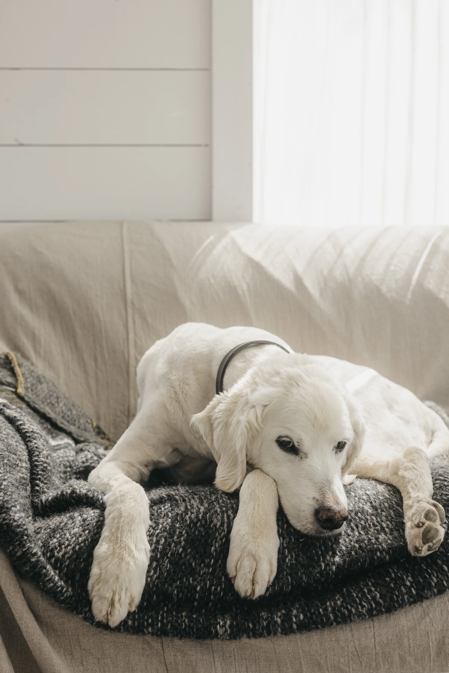 The Kim Klassen Podcast