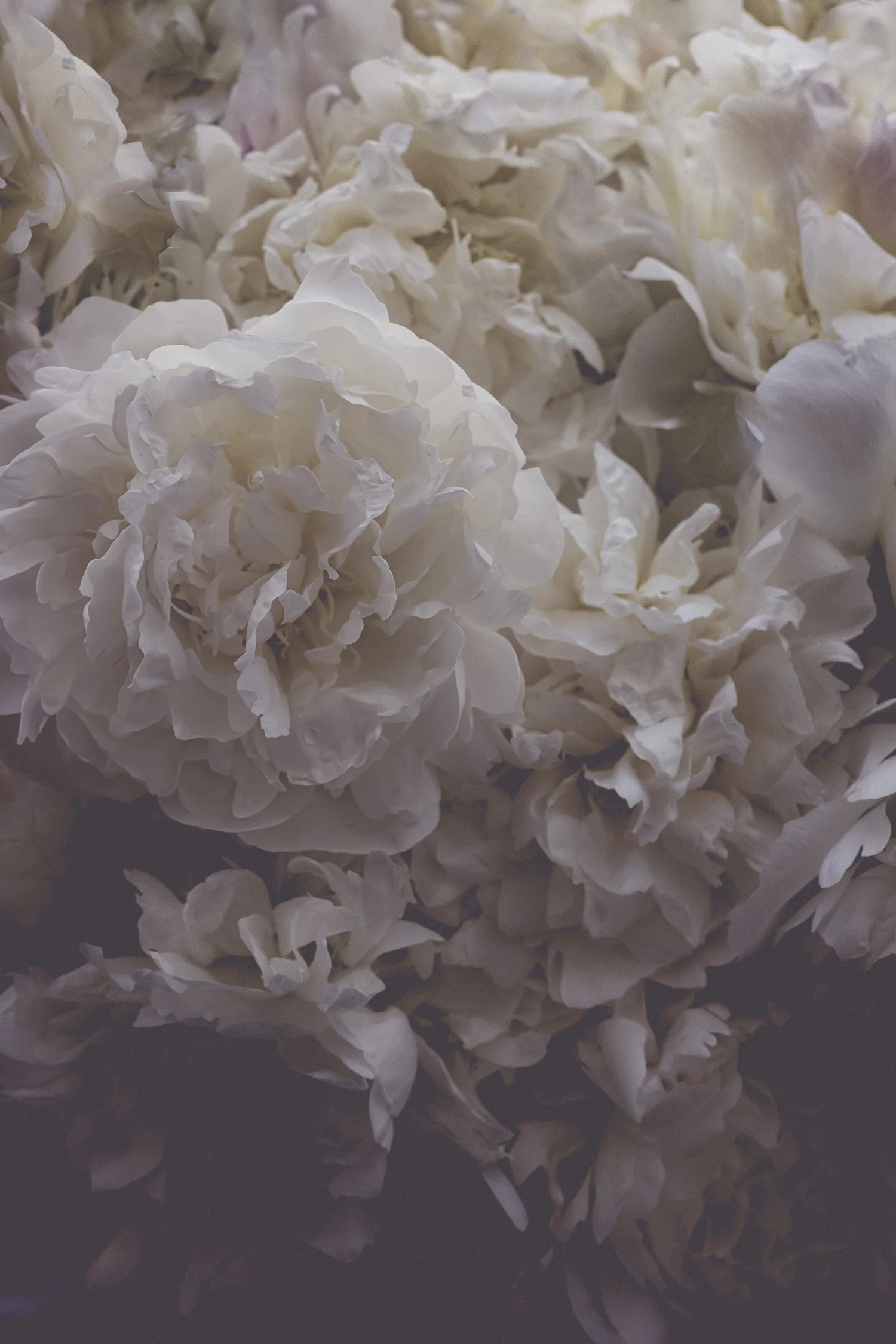 The Kim Klassen Podcast