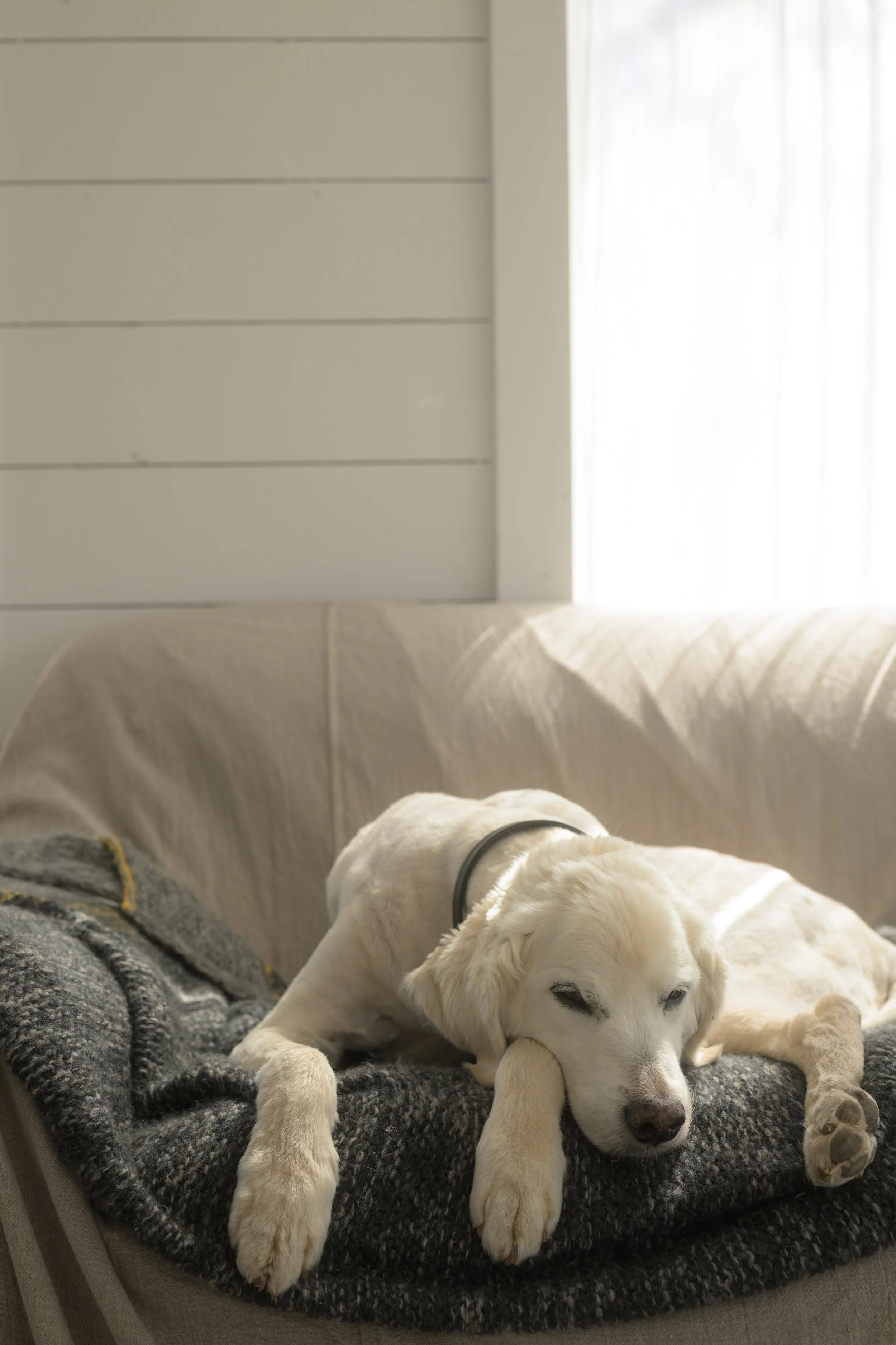 RECIPE B&W SILVERTONE.jpg