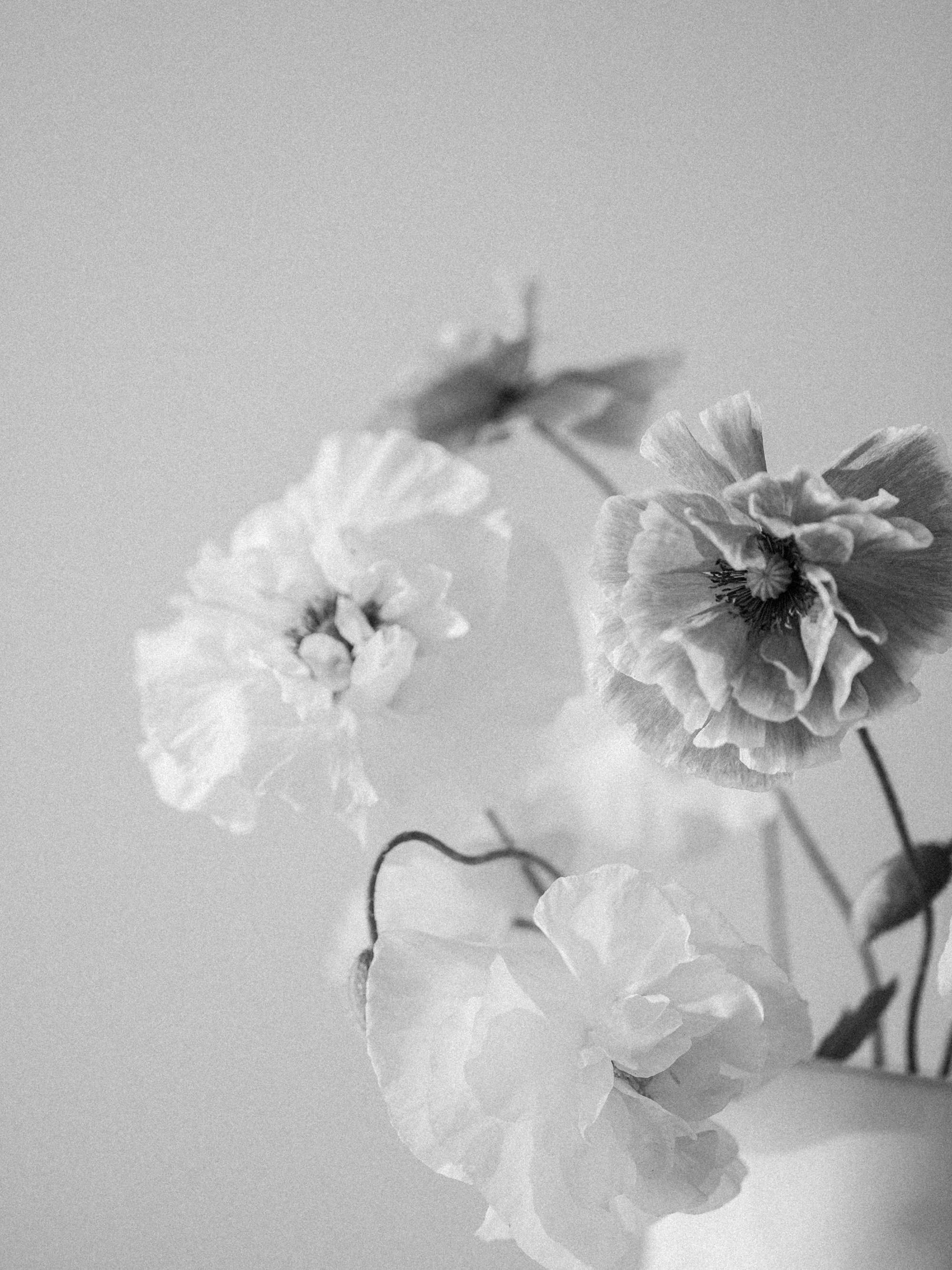 RECIPE - B&W CLASSIC