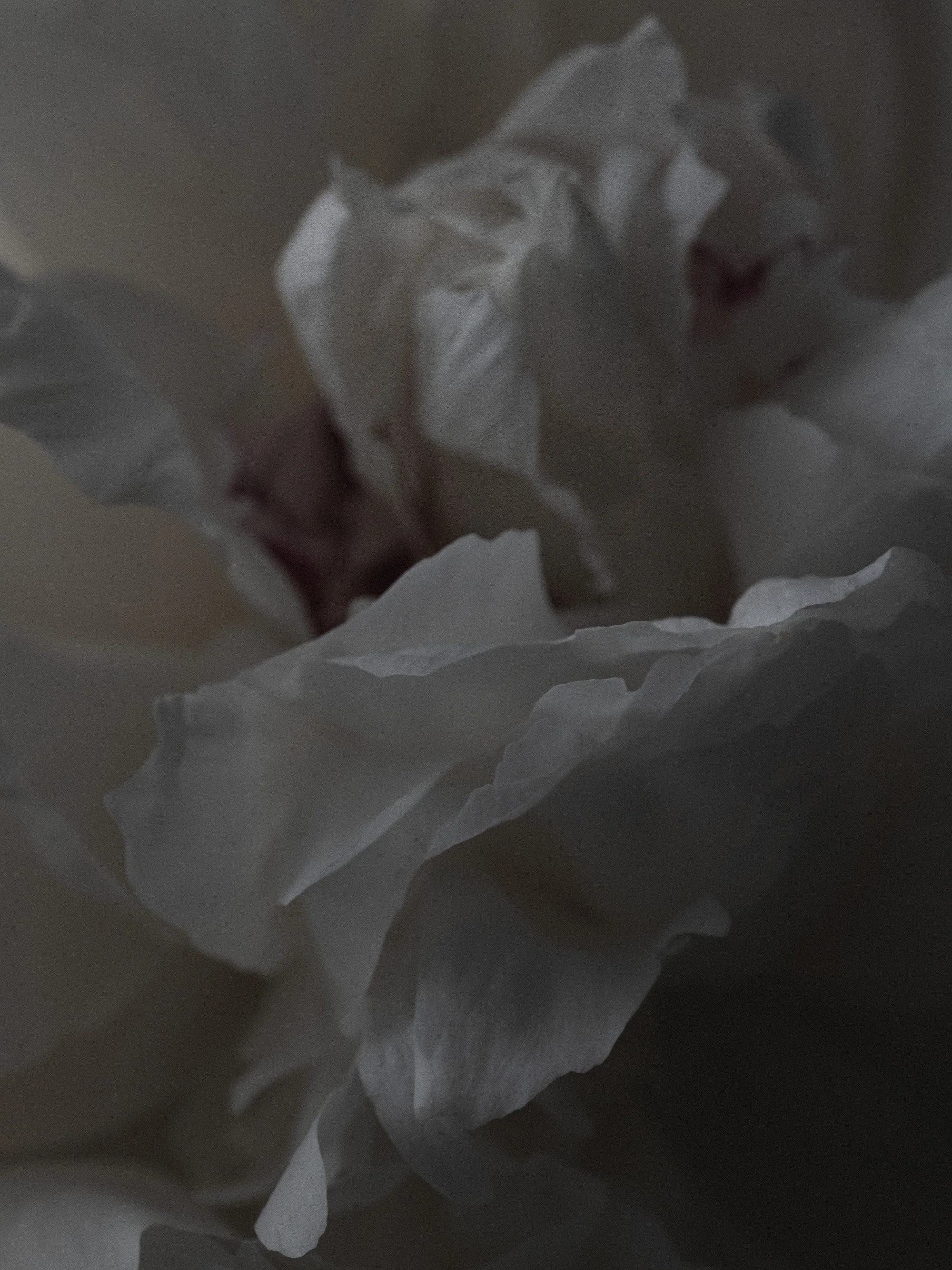 RECIPE - QUIET STILL