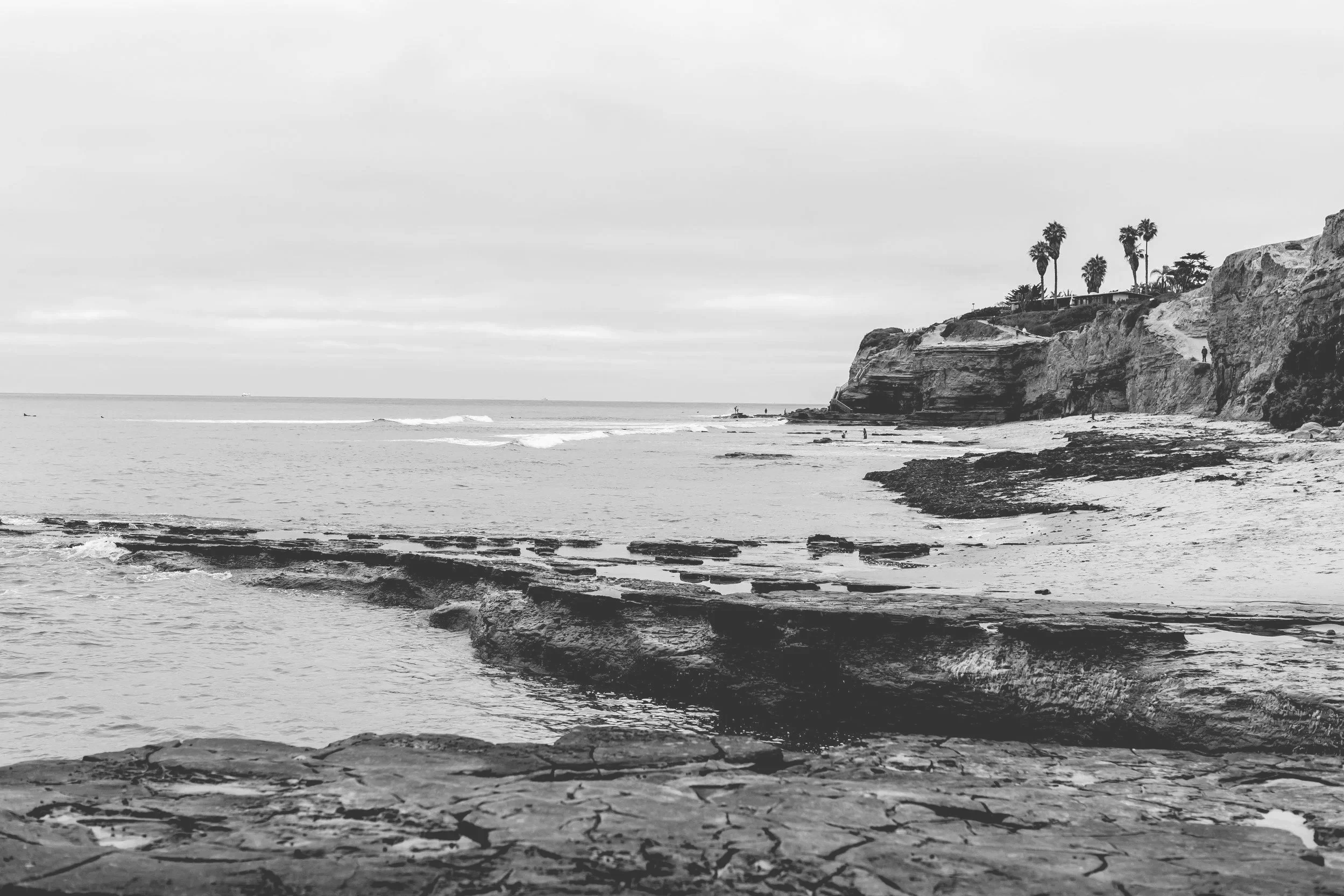 Black-and-white coastal landscape with rocky shoreline, ocean waves, sandy beach, and palm trees atop seaside cliffs