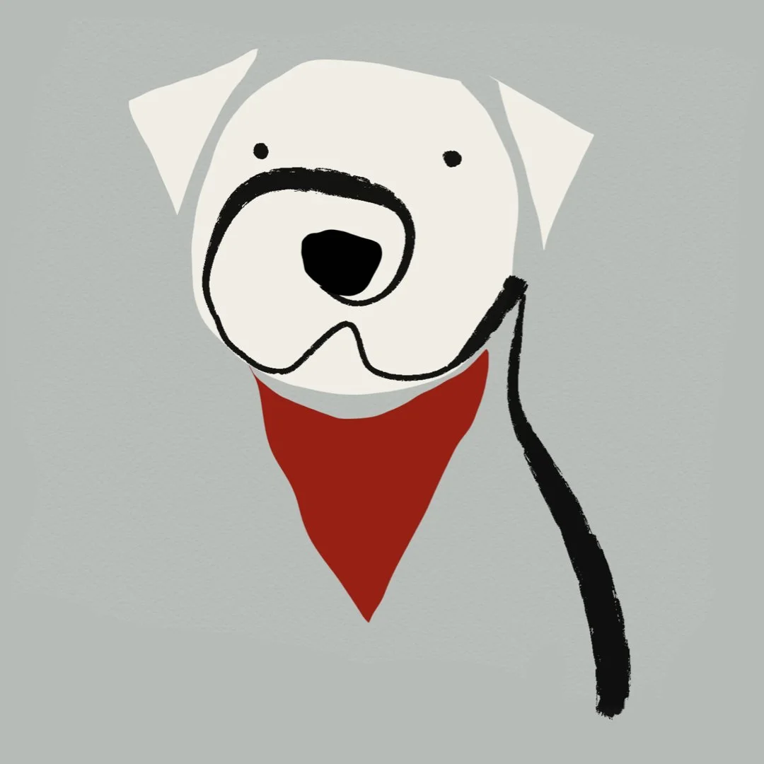Bandana dog, Fort Greene, NY