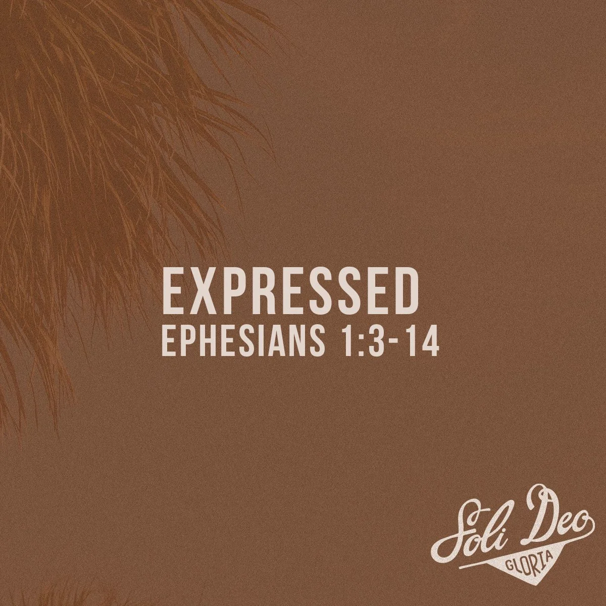 Expressed - Ephesians 1:3-14