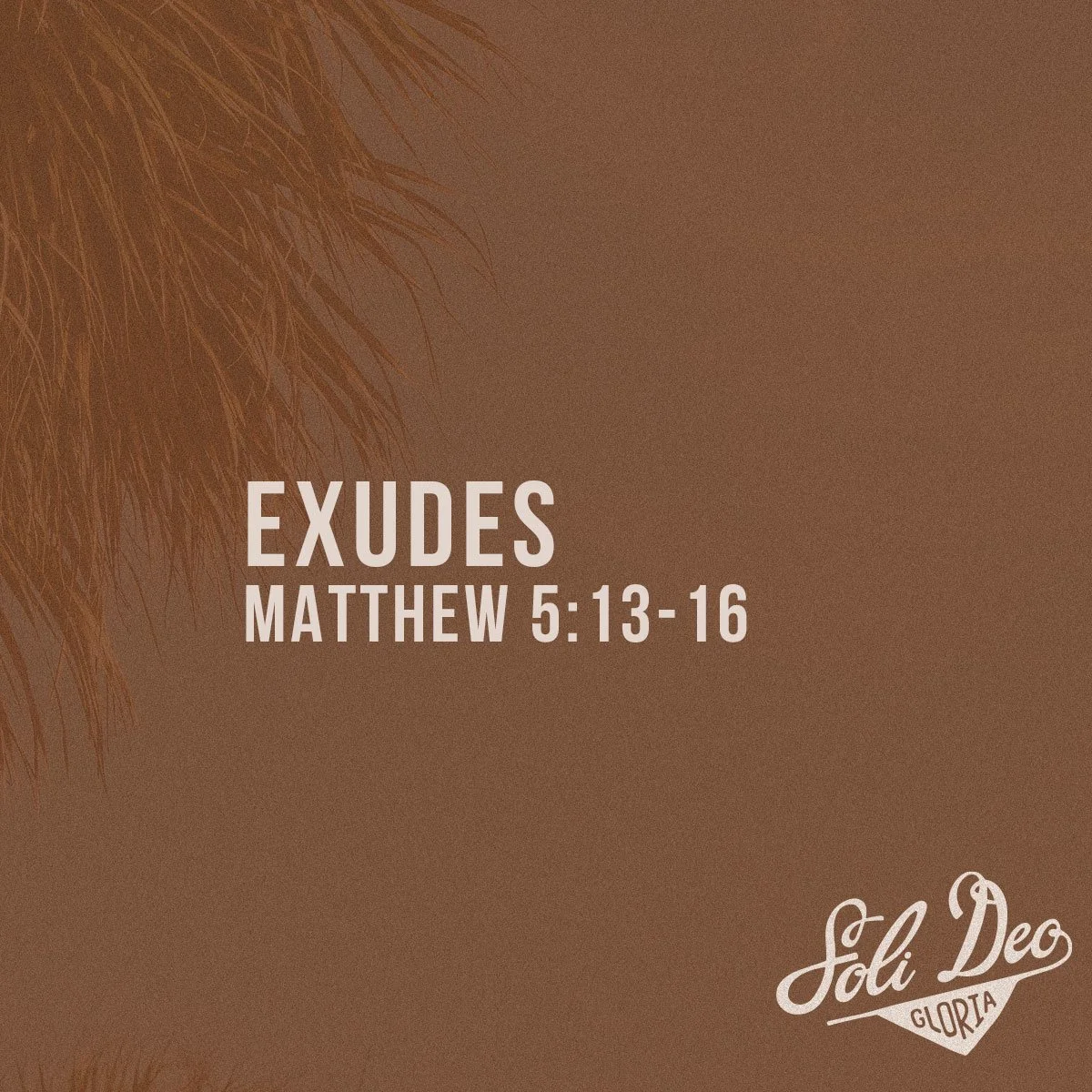 Exudes - Matthew 5:13-16