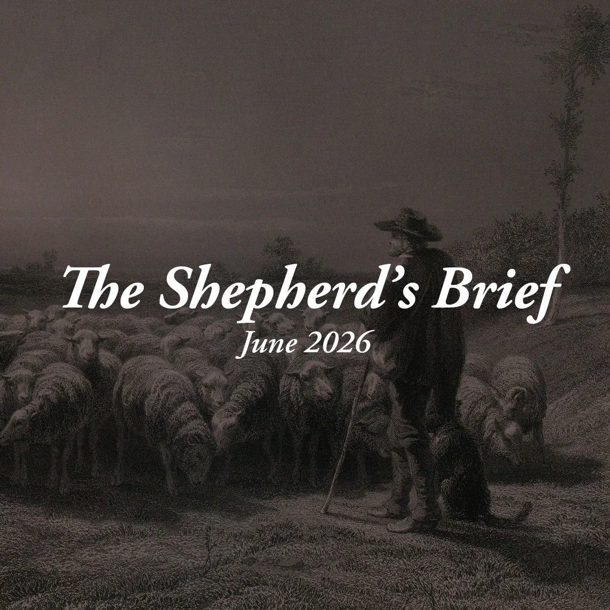 The Shepherd’s Brief