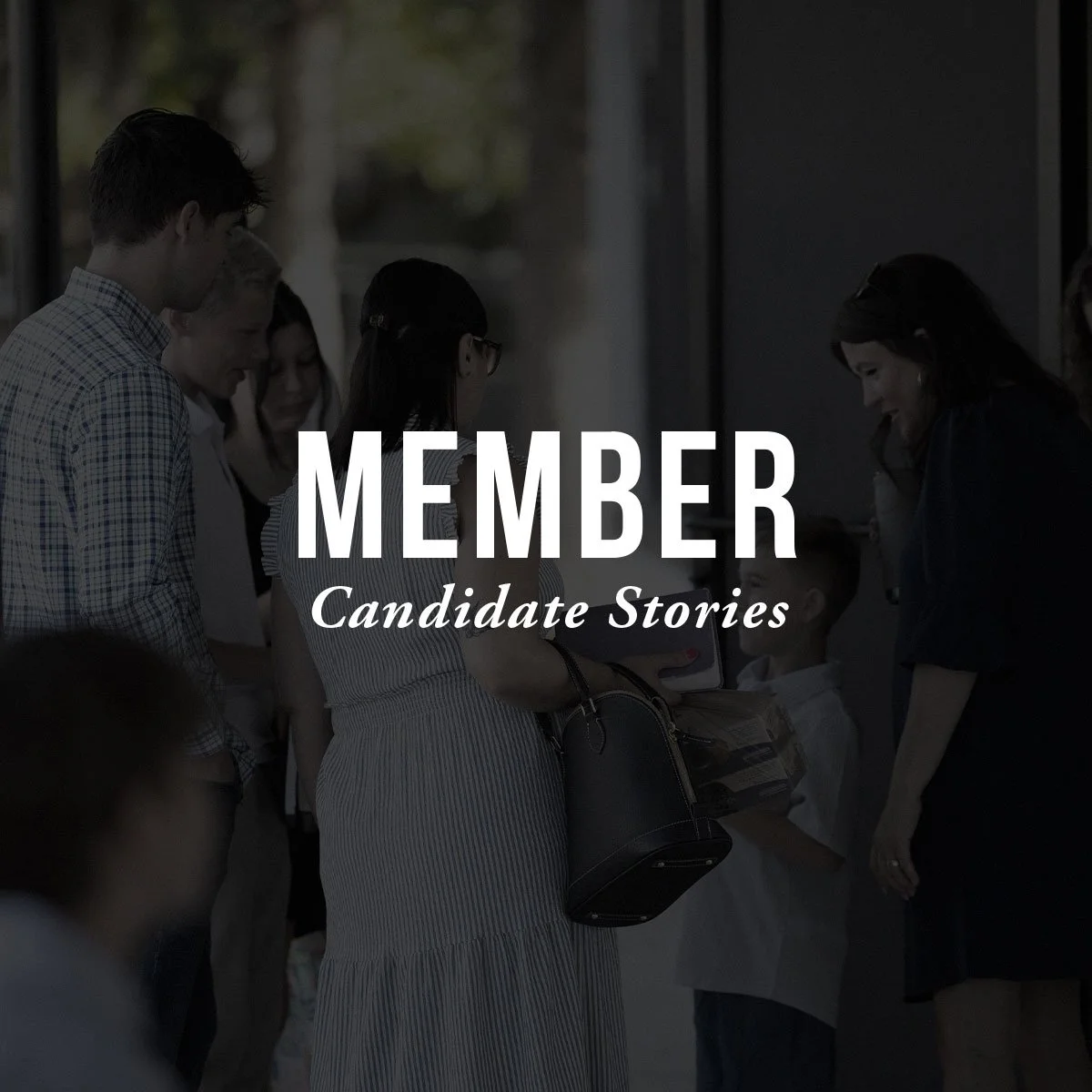 Member Candidates — August 2026