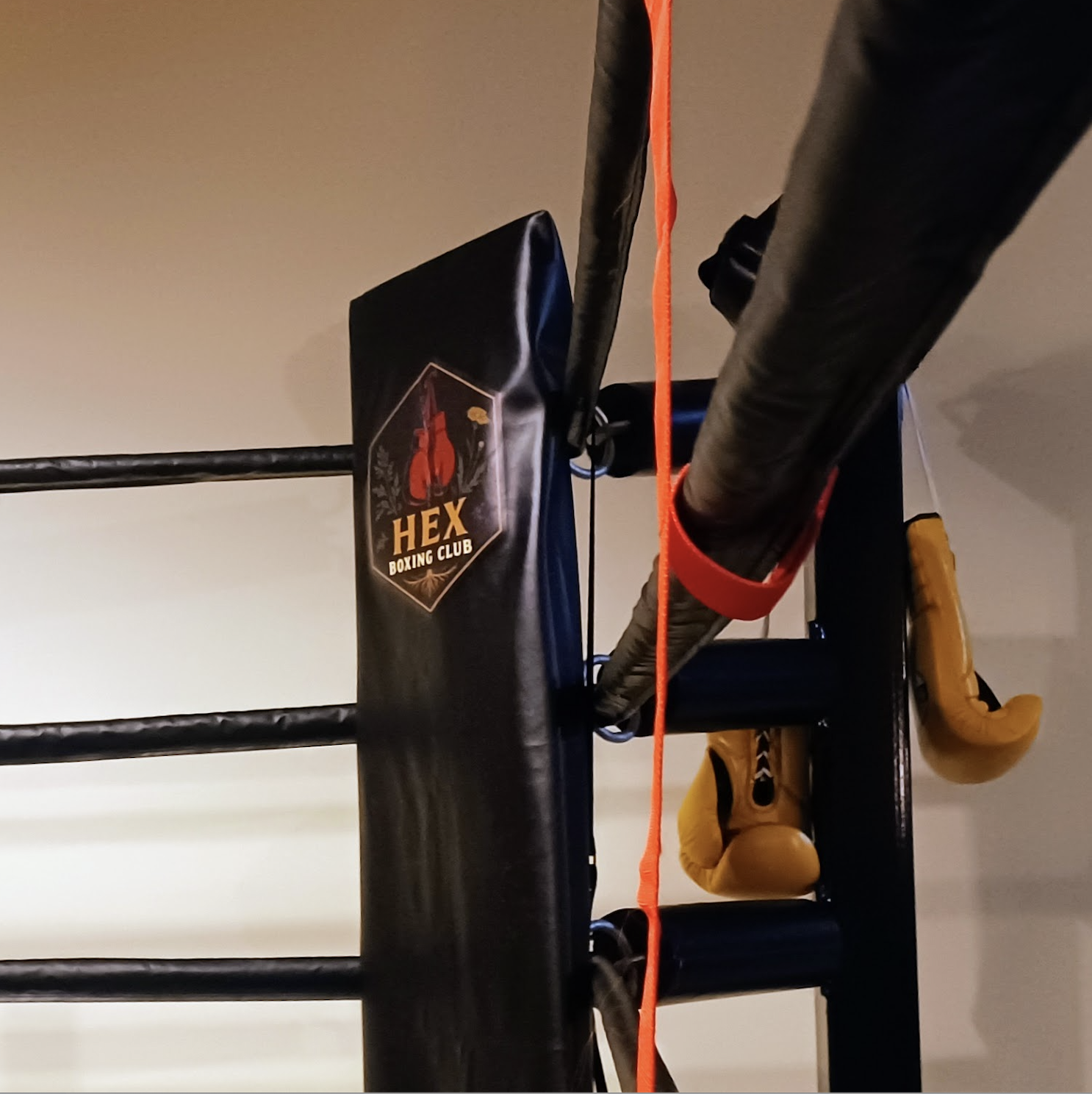 Boxing Training at HEX Boxing Club