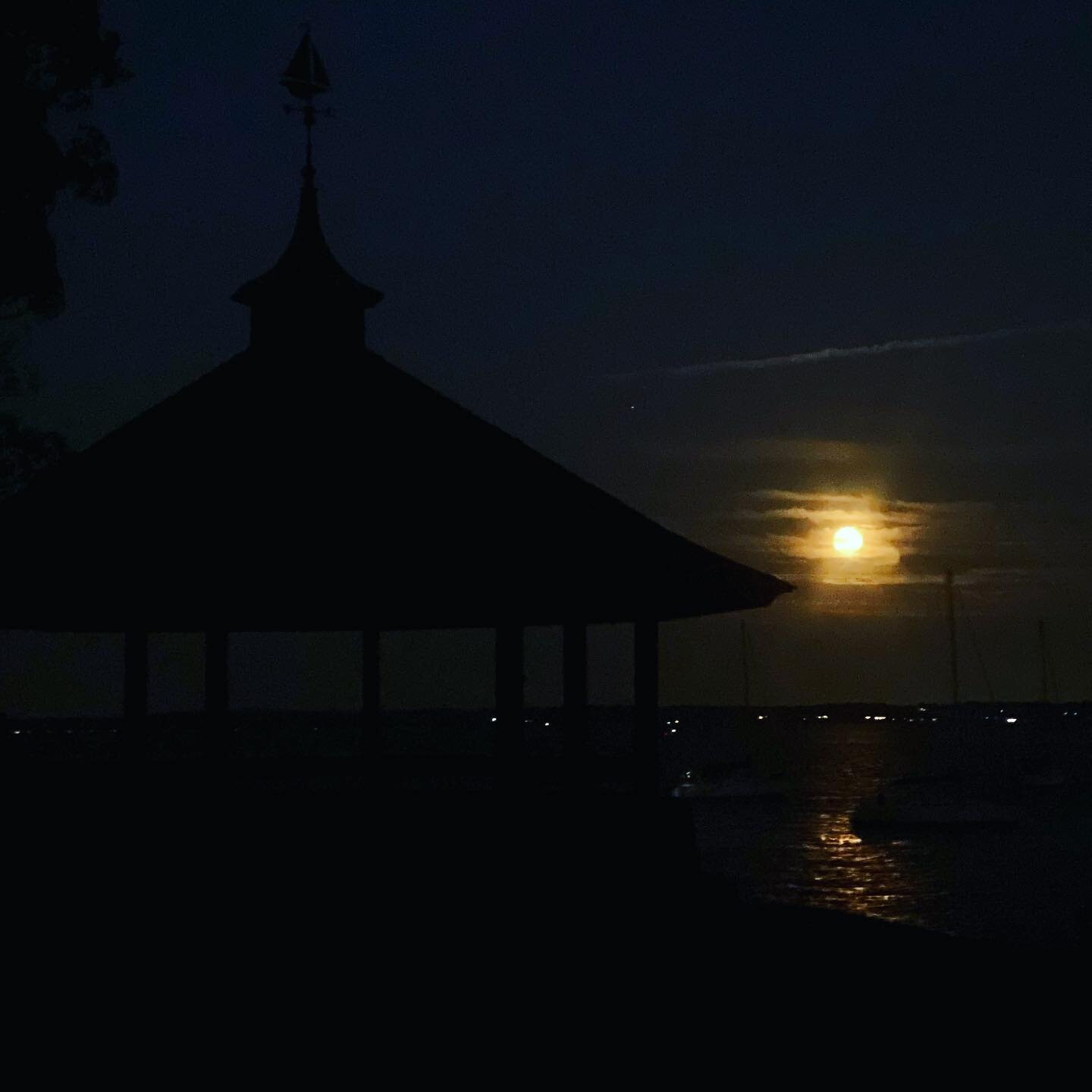 Goodnight Junebug🌙

#fullmoon #supermoon #magic #summervibes #fireflies #larchmont #manorpark #sturgeonmoon #august #gazebo #summerlove #smilemore #junebugs #cicada