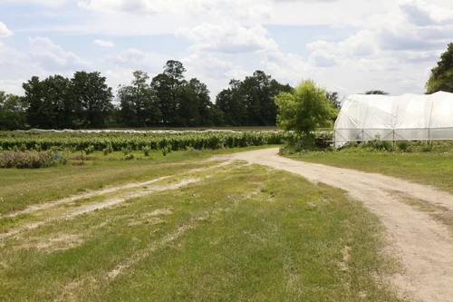 Rideau Pines Farm