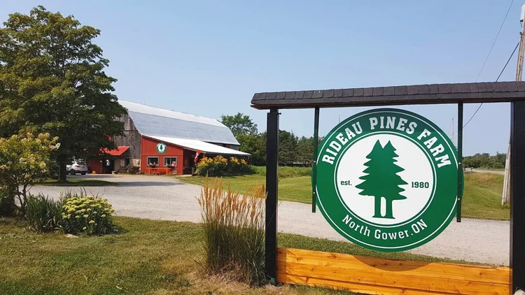 Rideau Pines Farm