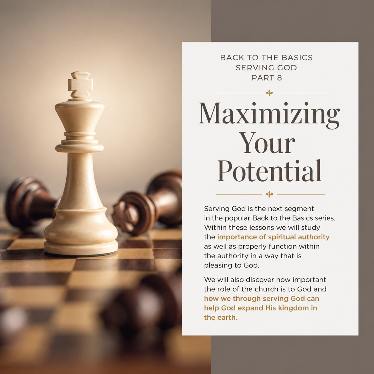 Back to the Basics Serving God Part 8 / Maximizing Your Potential