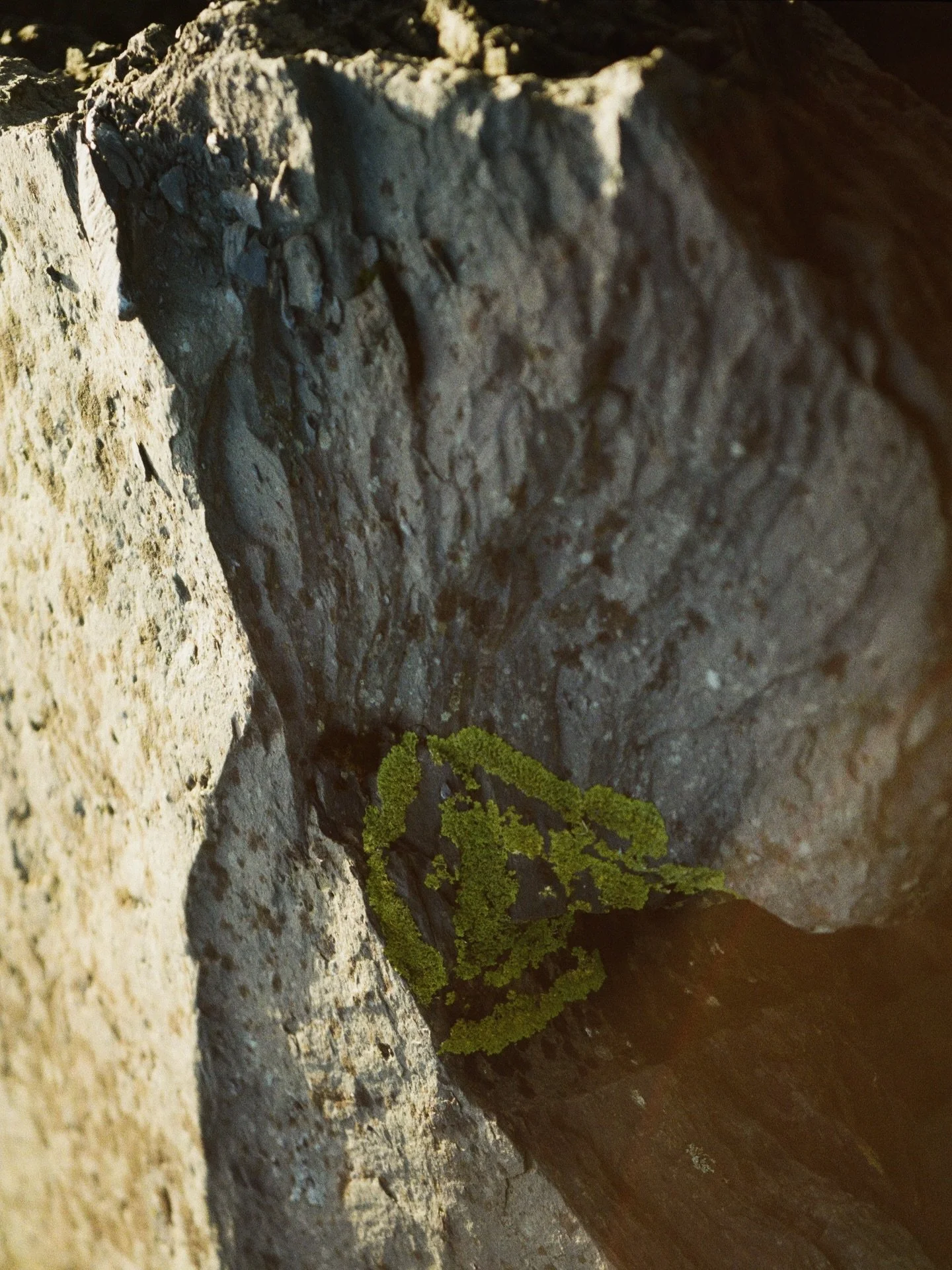Last year I found inspiration in all the nooks and crannies of Easdale Island 🌱

#easdaleisland #scotland #inspiration #nature #design #ceramics #ceramicsstudio #moss #lichen