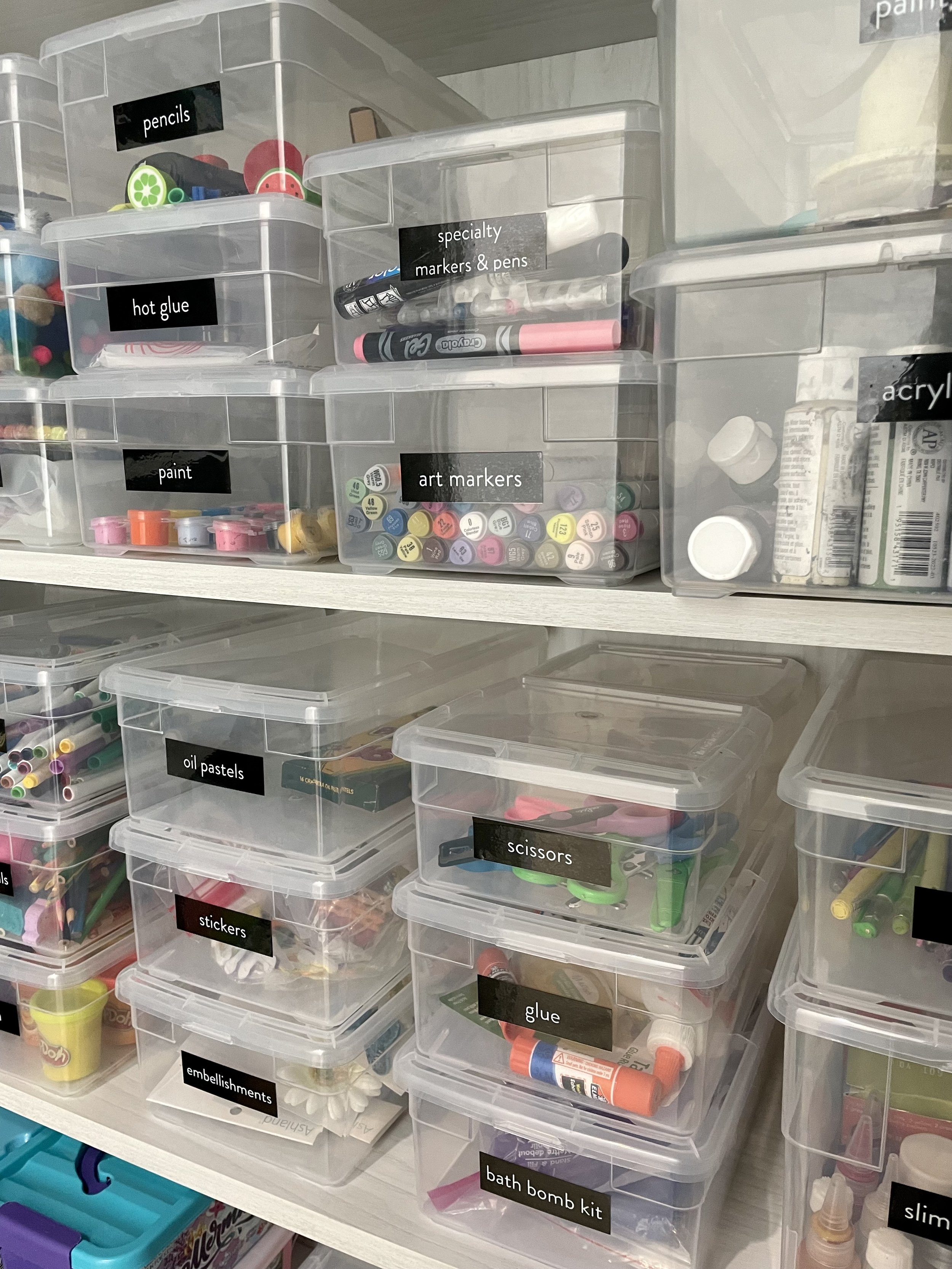 Clear Storage Bins used by professional organizer in 2024.