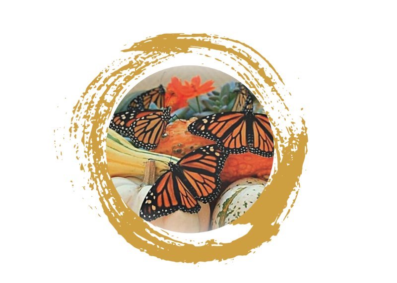 Diamond Art Monarch Butterfly - Leisure Arts > Medium > Leisure