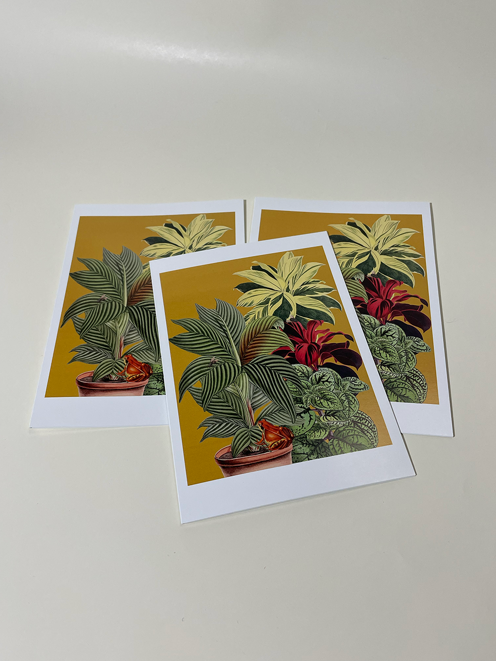 4M plant card2.png