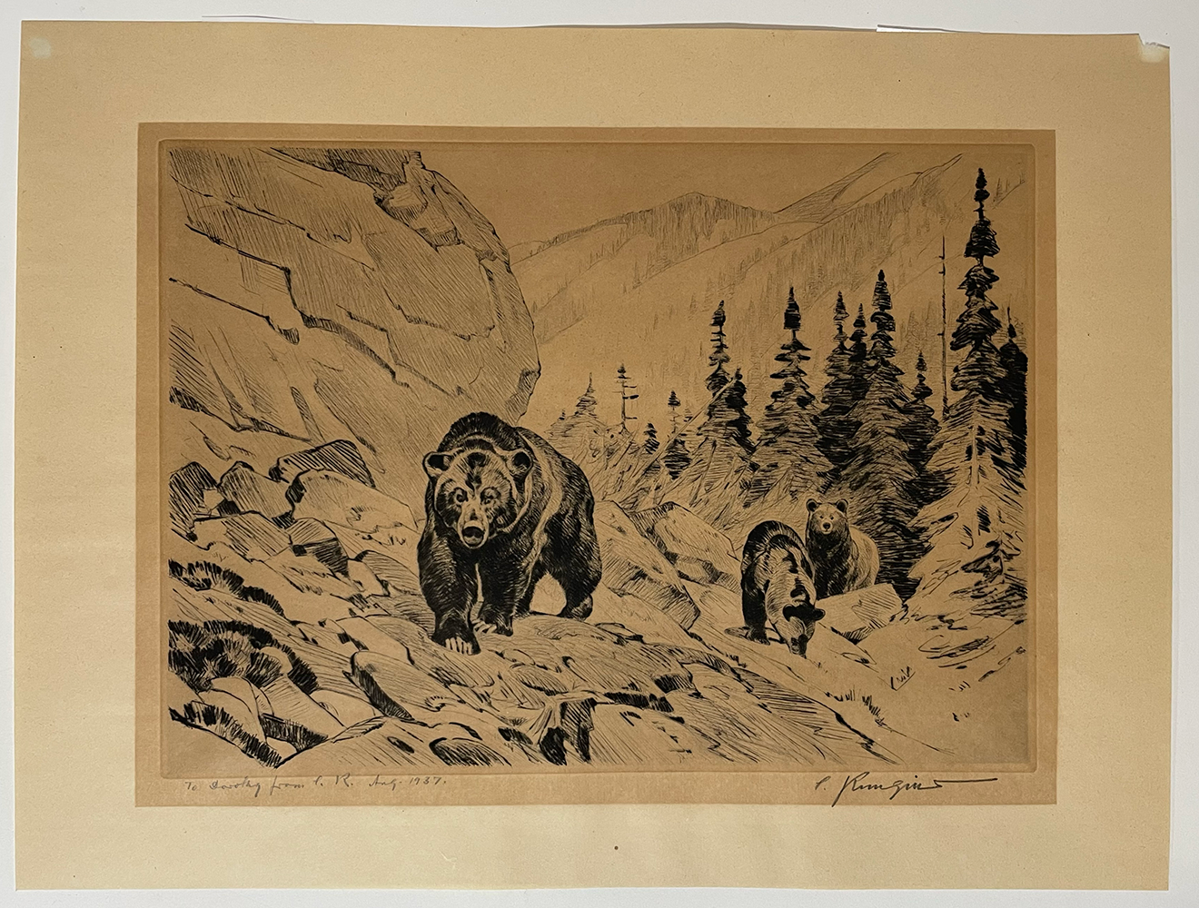 Rungius grizzly3.png