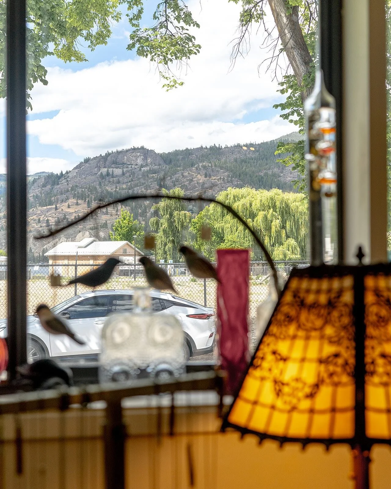 Some Naramata shop views, courtesy of @discovernaramata and a couple courtesy of just me. 
Open daily. Visit soon!