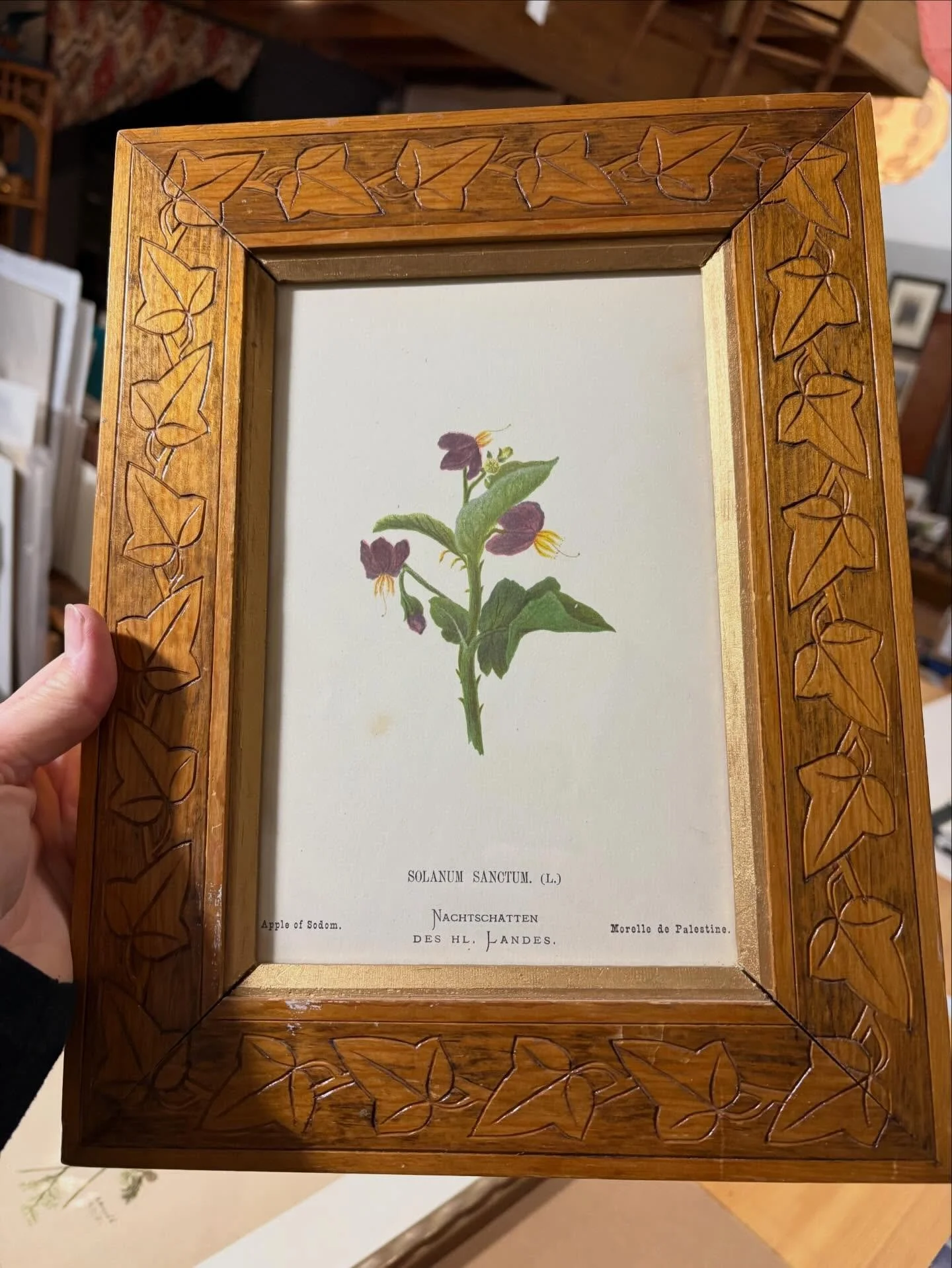 New Year&rsquo;s quick project for a surprise gift. Surprise! Two antique chromolithographs and one antique watercolour, mix of new and not frames, off to a new home wall. Love this little selection! 
#antiqueprints #customframing #interiors