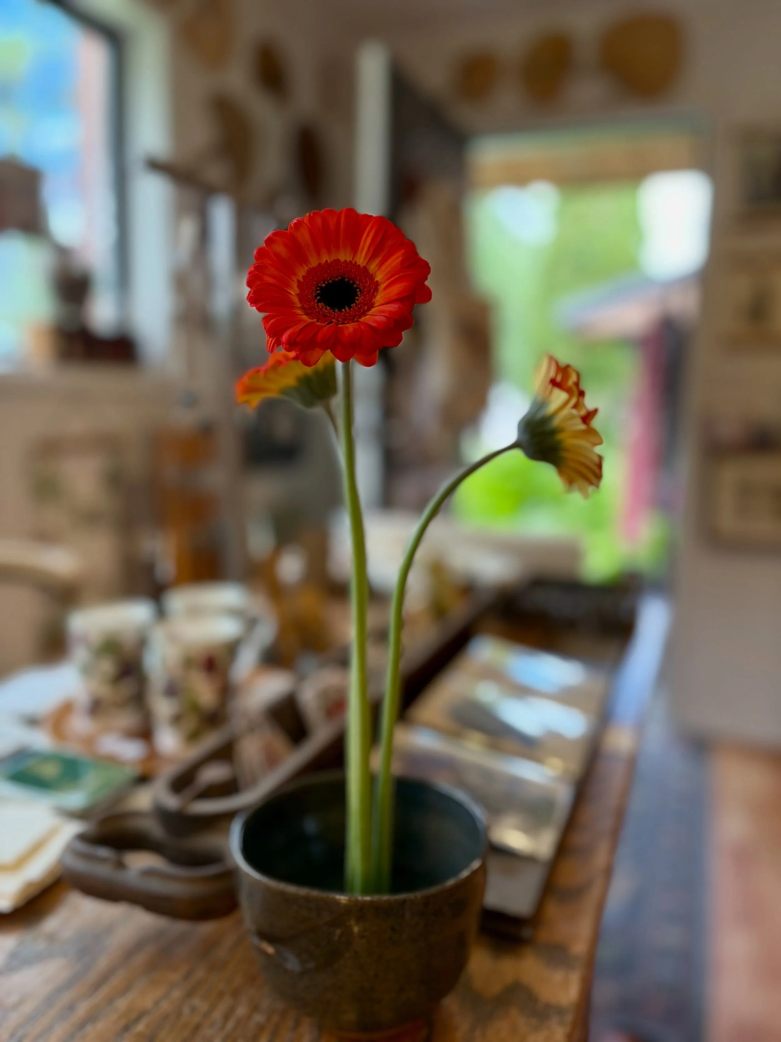 The easy beauty of a flower frog
#naramata