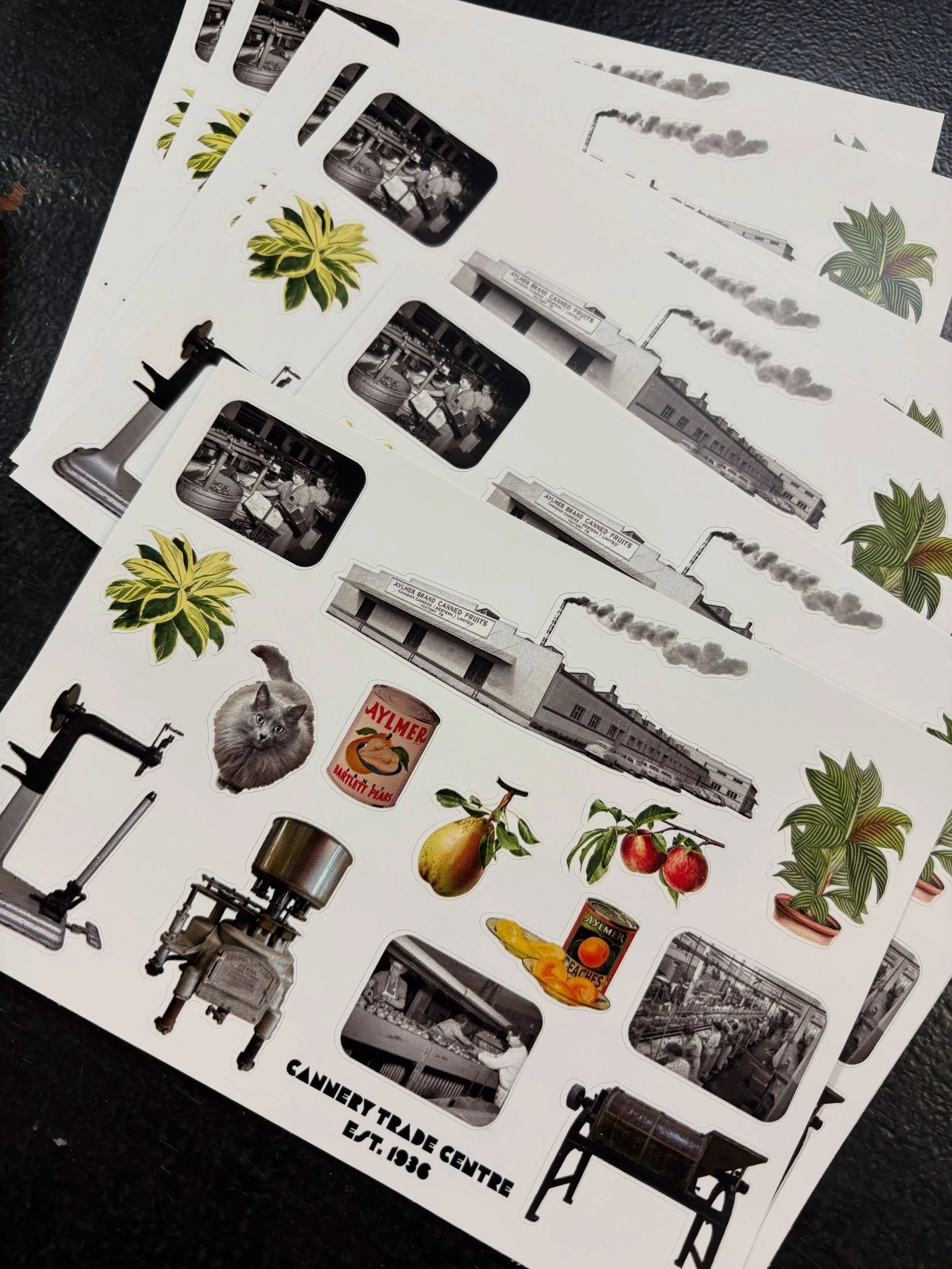 Penticton&rsquo;s Cannery Trade Centre has a looooooong history, and a very active present. 
Did you know there are 33 organizations and businesses in the three attached buildings that we have called our home base for almost 9 years. 
Visit soon!