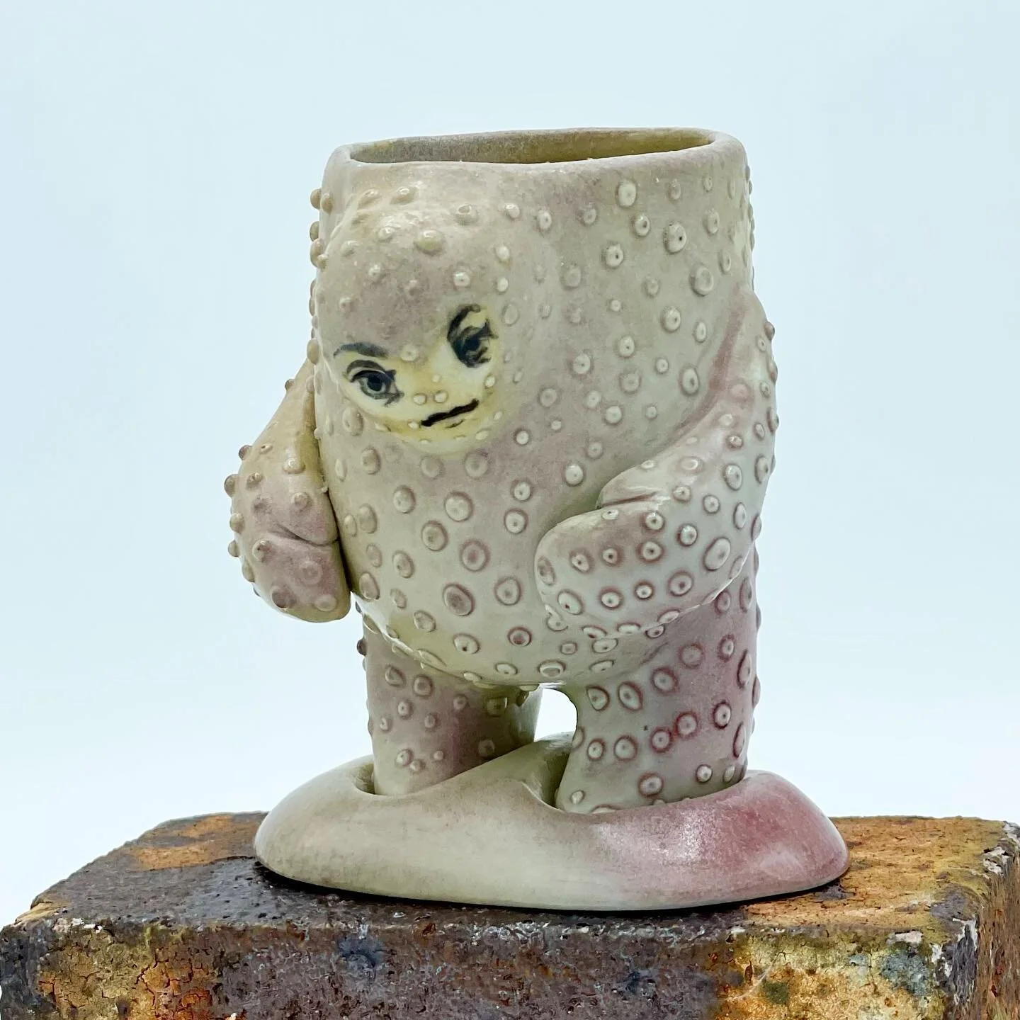 Don&rsquo;t worry she&rsquo;s just shy.
(Loving these subtle blush tones!)
#weatheredbronze #porcelain #ceramics #saltfired #succulentplanter #tinysculpture #handmade #homedecor