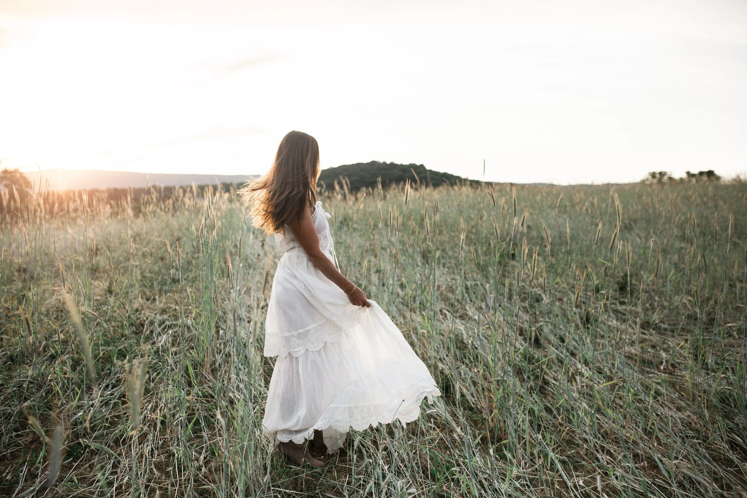 Golden Hour Pasture
