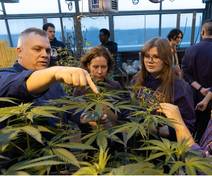UW-Stevens Point program teaches about the science of cannabis