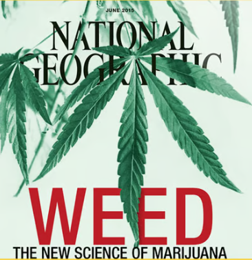 National Geographic's 'Weed: The New Science Of Marijuana'