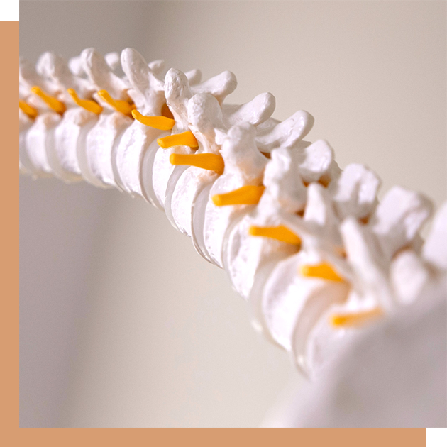 Chiropractic Care Halifax; spinal adjustment; subluxations