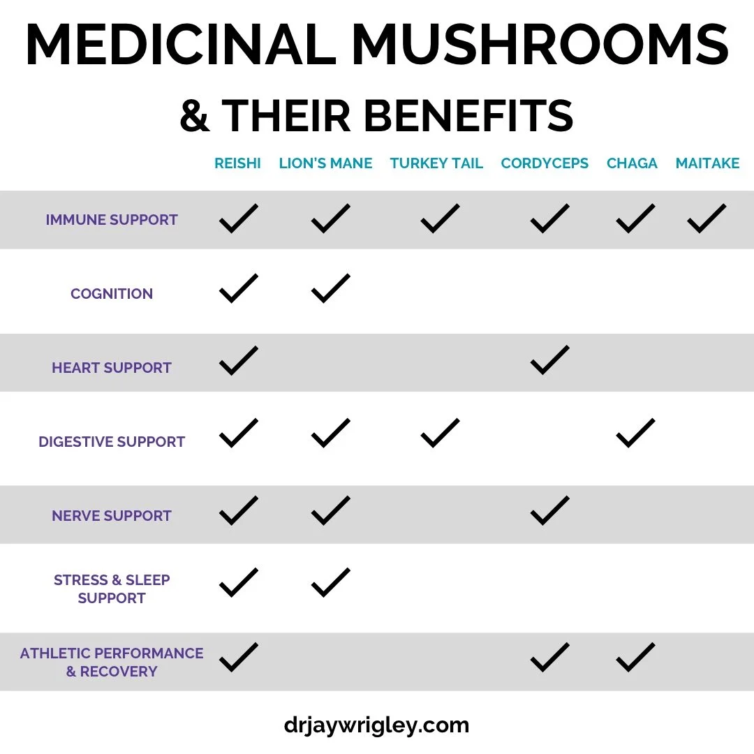 Medicinal Mushrooms and Their Benefits