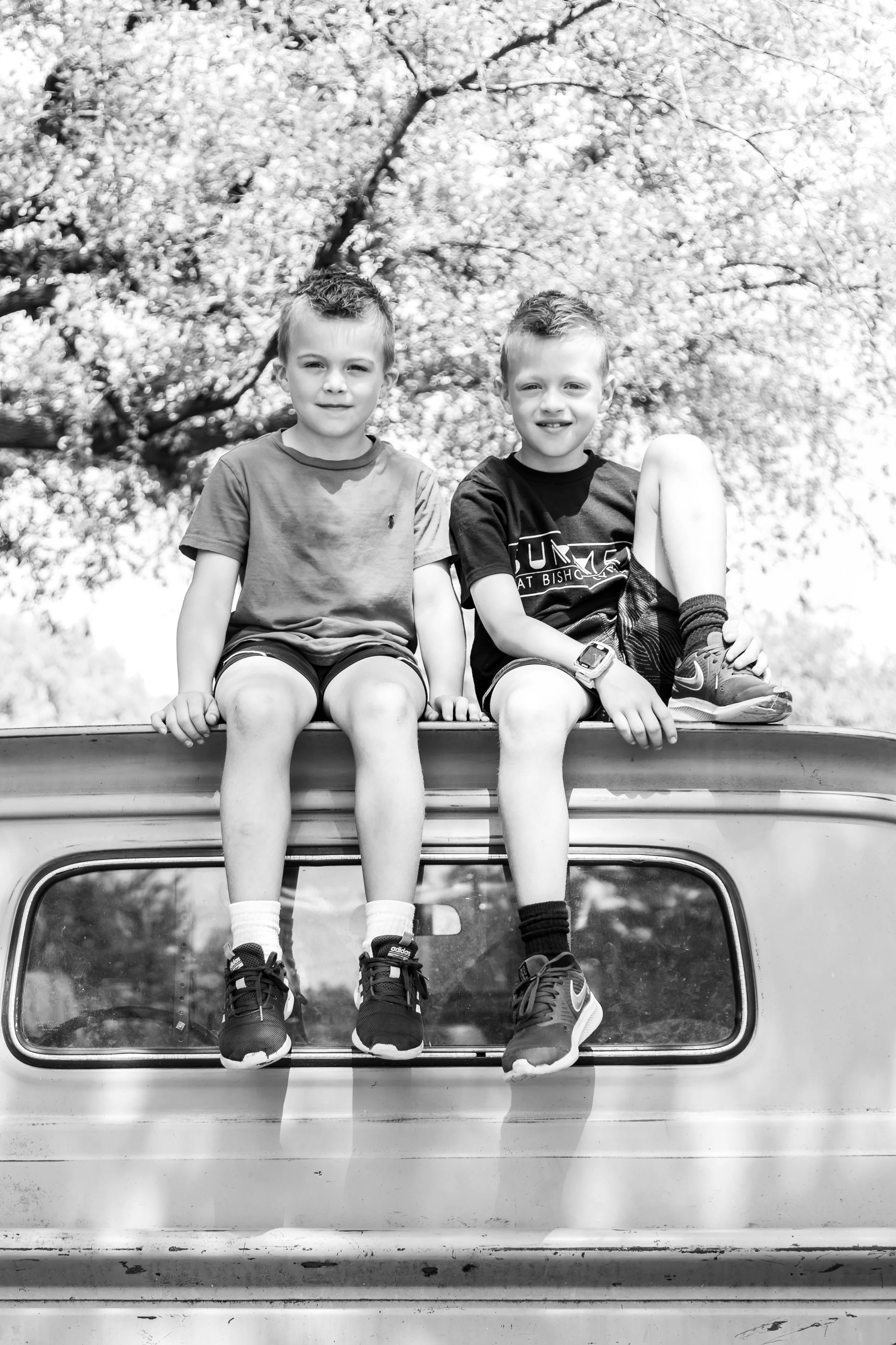 Schneider - BW-14.jpg