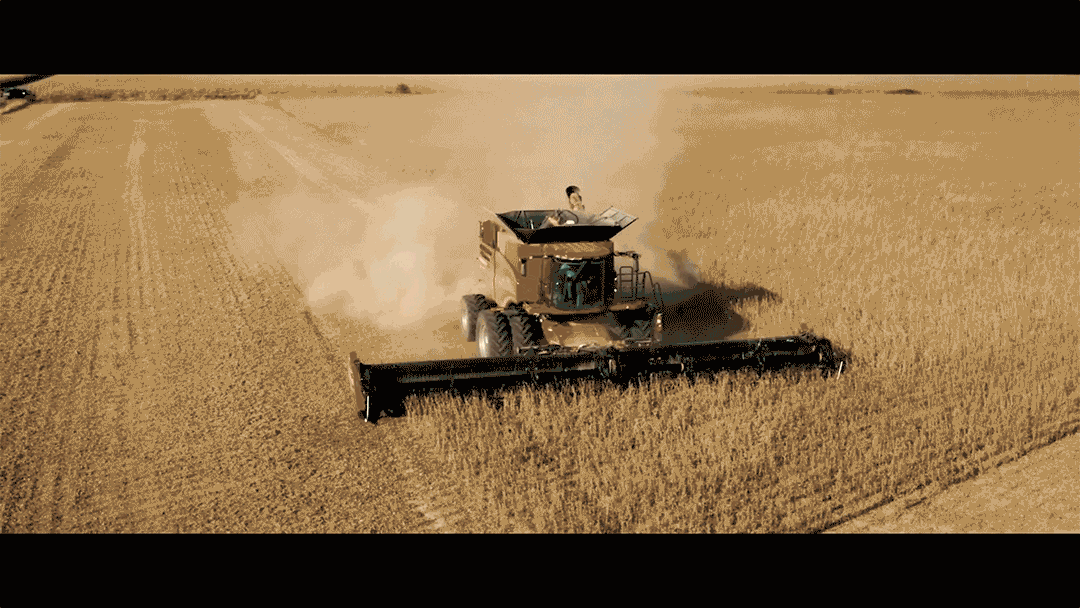 Dekalb & Asgrow TV
