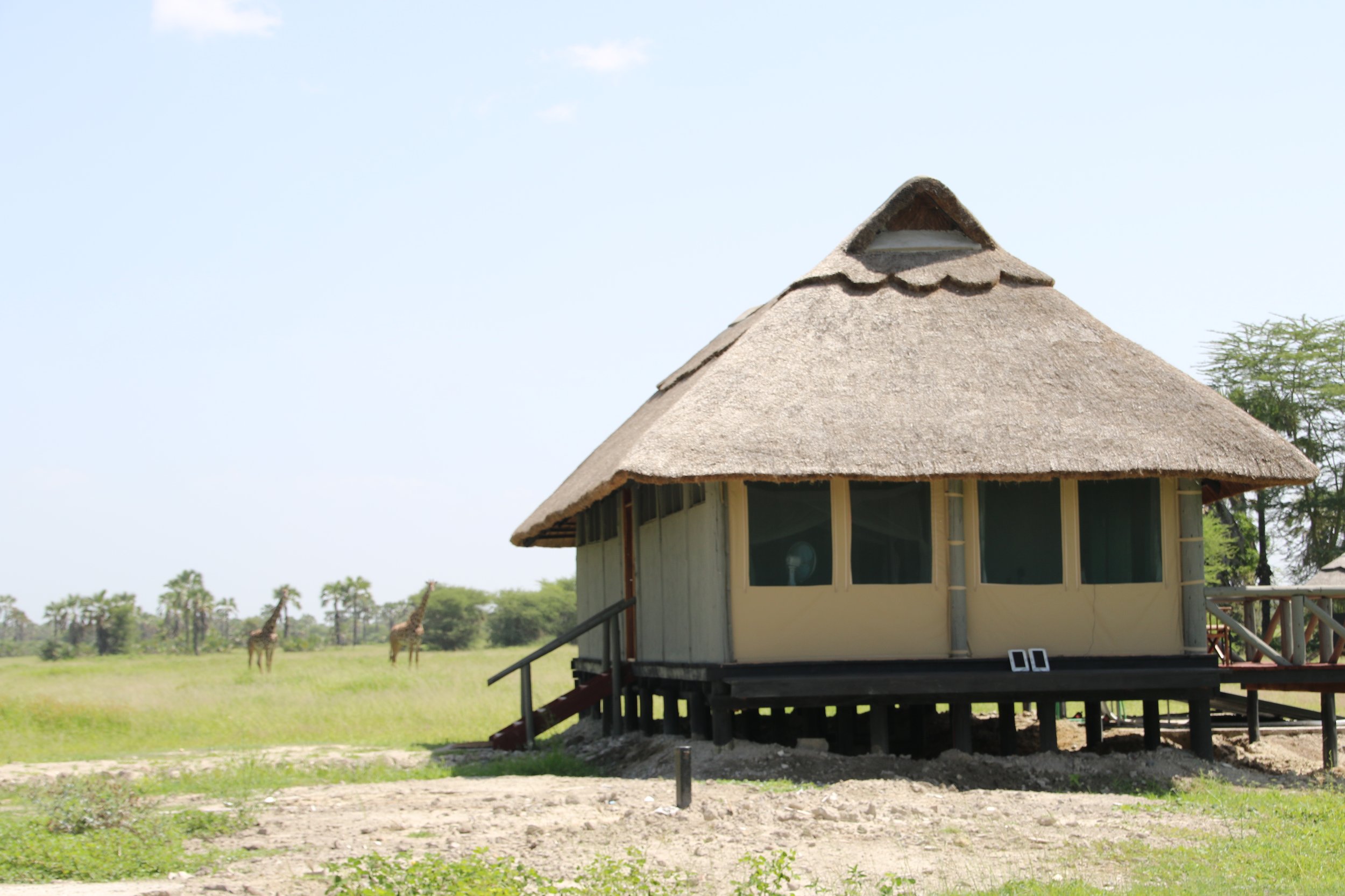 Tanzanian safari hut.JPG