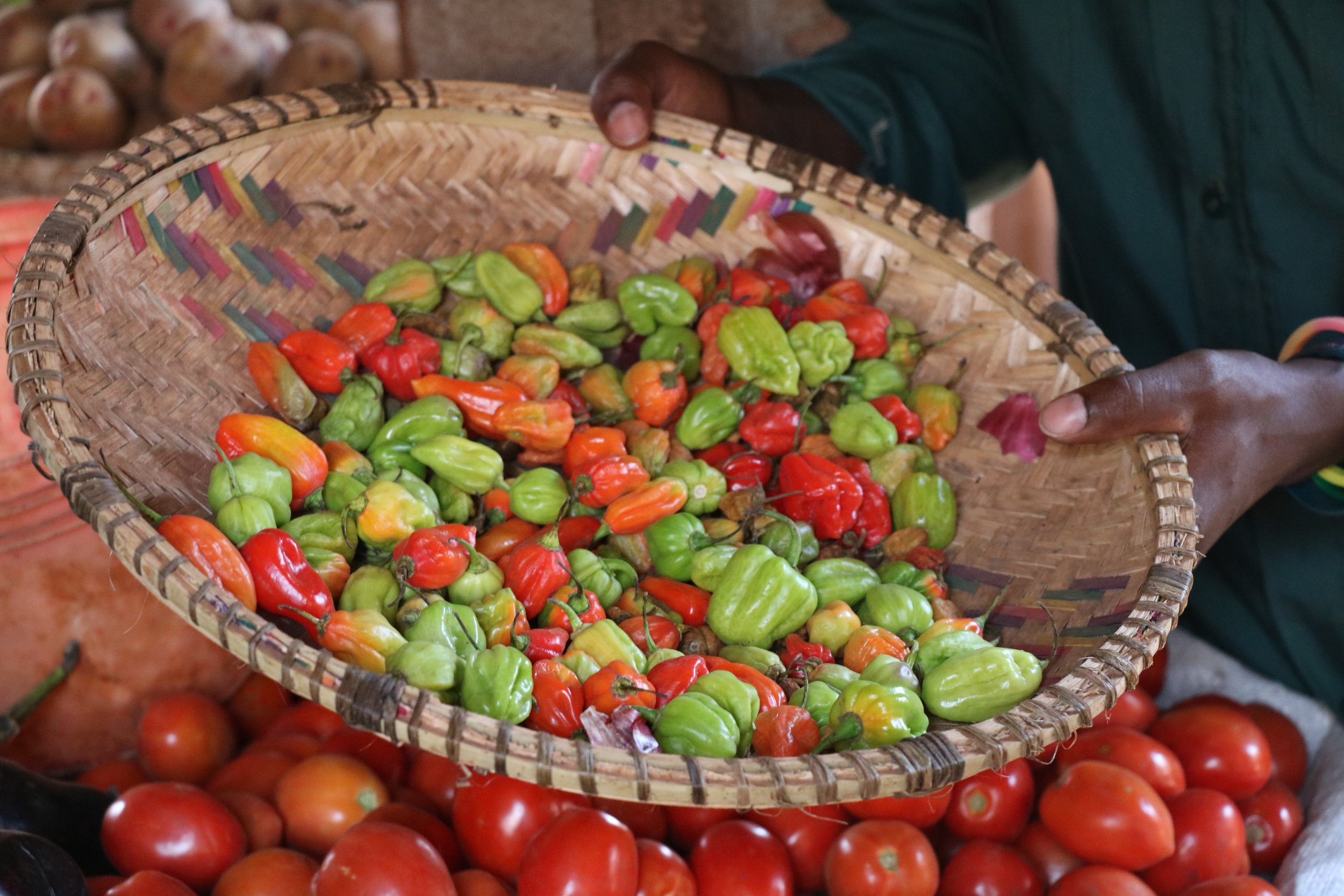 variety of peppers in Tanzania.JPG