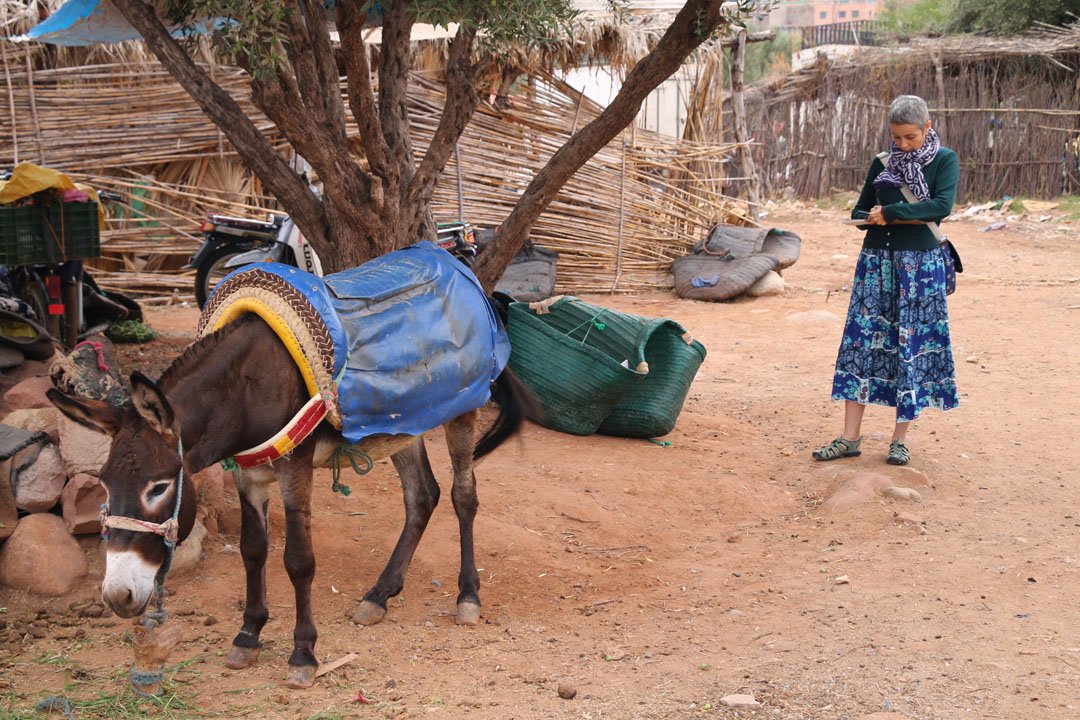 donkey and traveler in Morocco.jpg