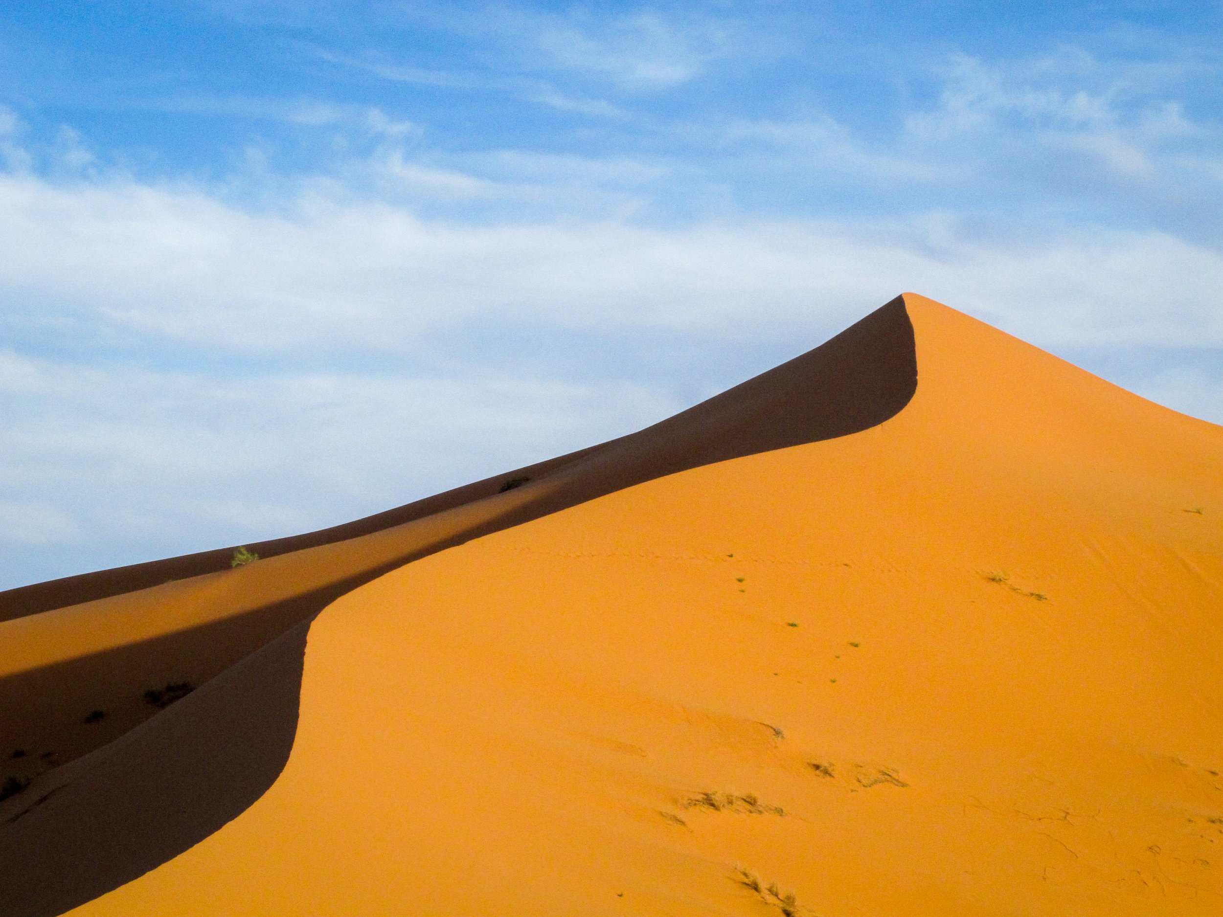 sand dune in the Sahara.jpg