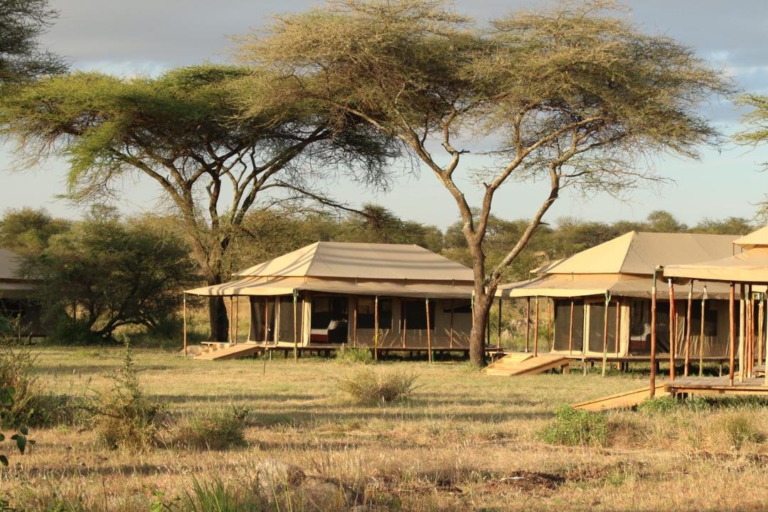 Tanzanian safari tents wide.JPG