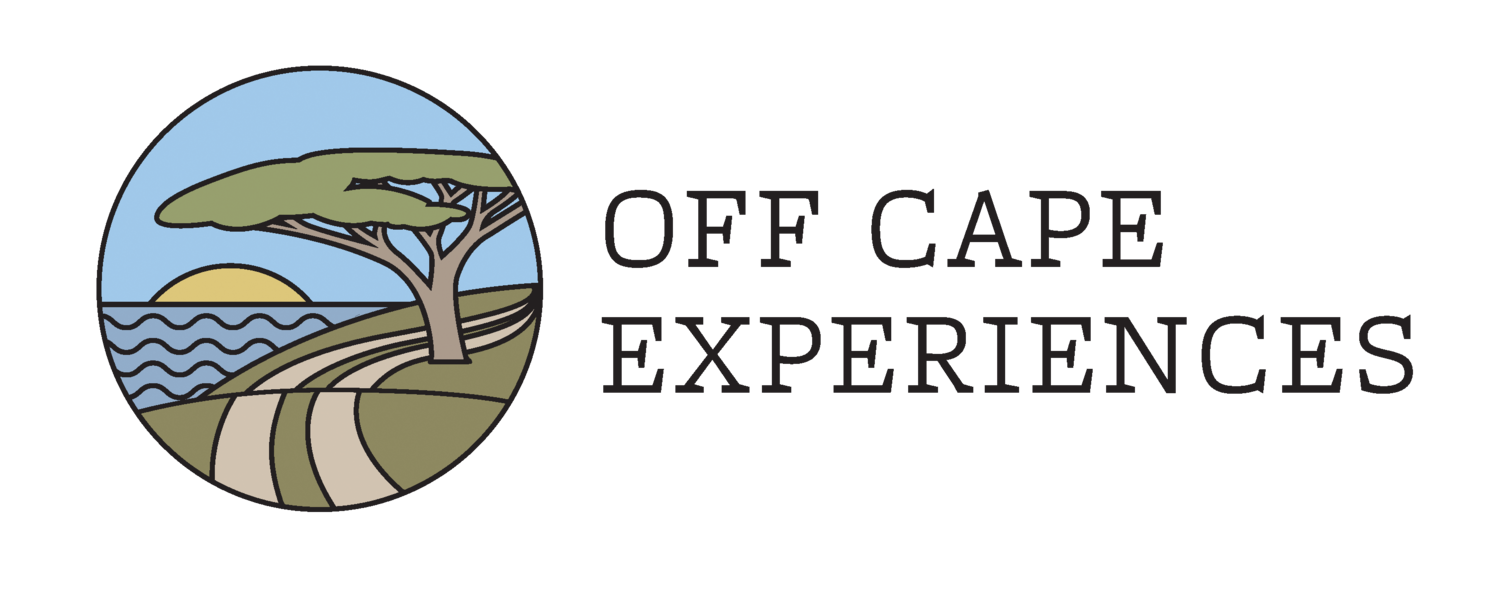 Off Cape Experiences