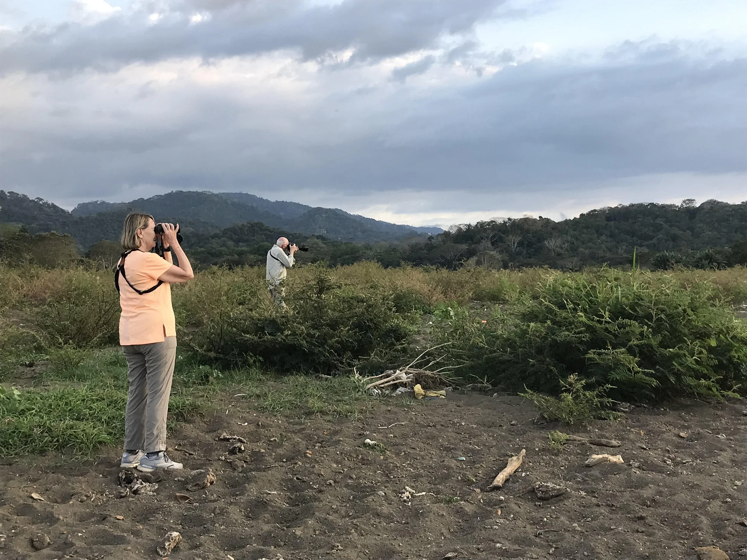 Off Cape Experiences Costa Rica Bird Watching 4.jpg