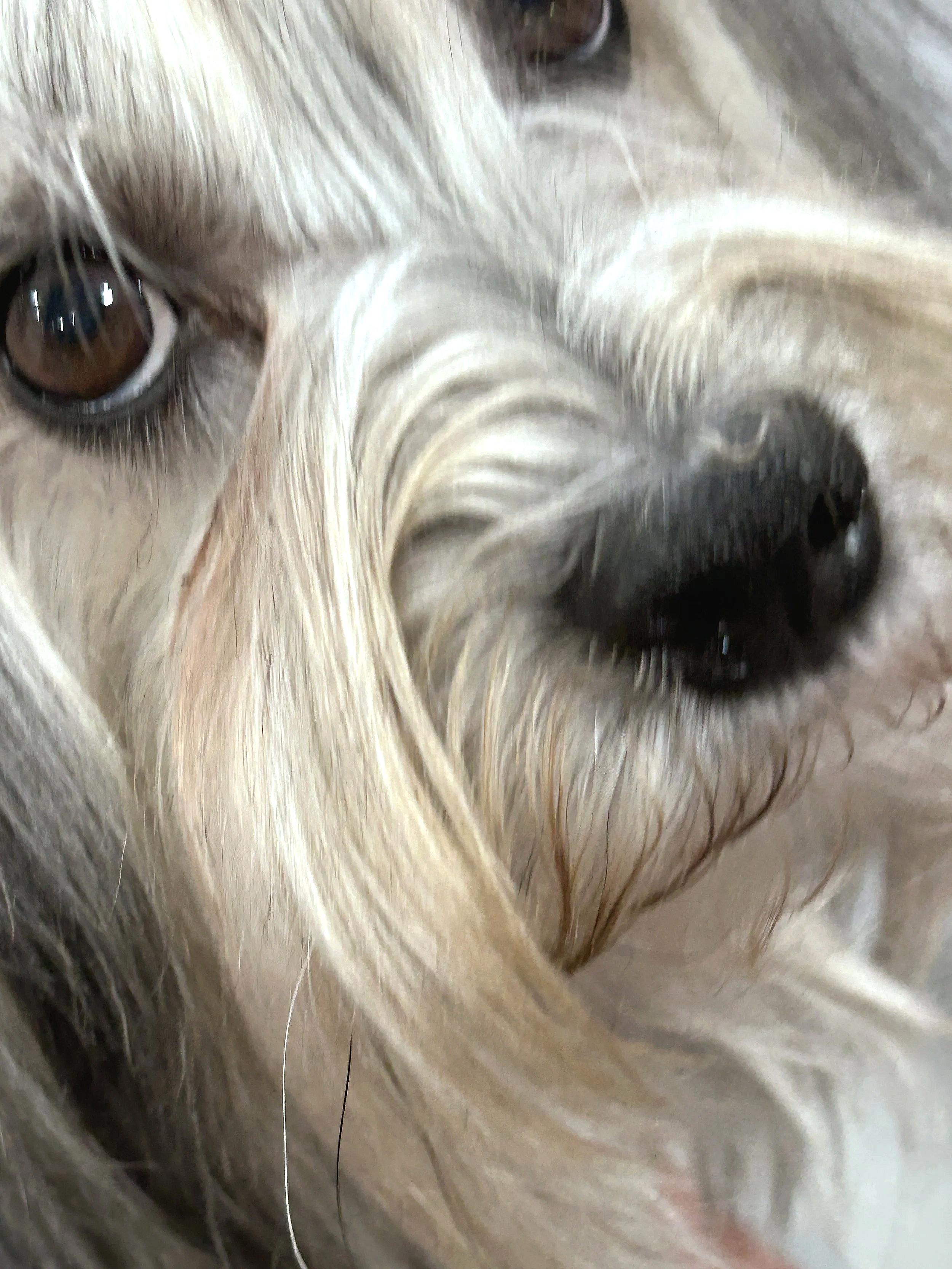 The Great Chicken Incident