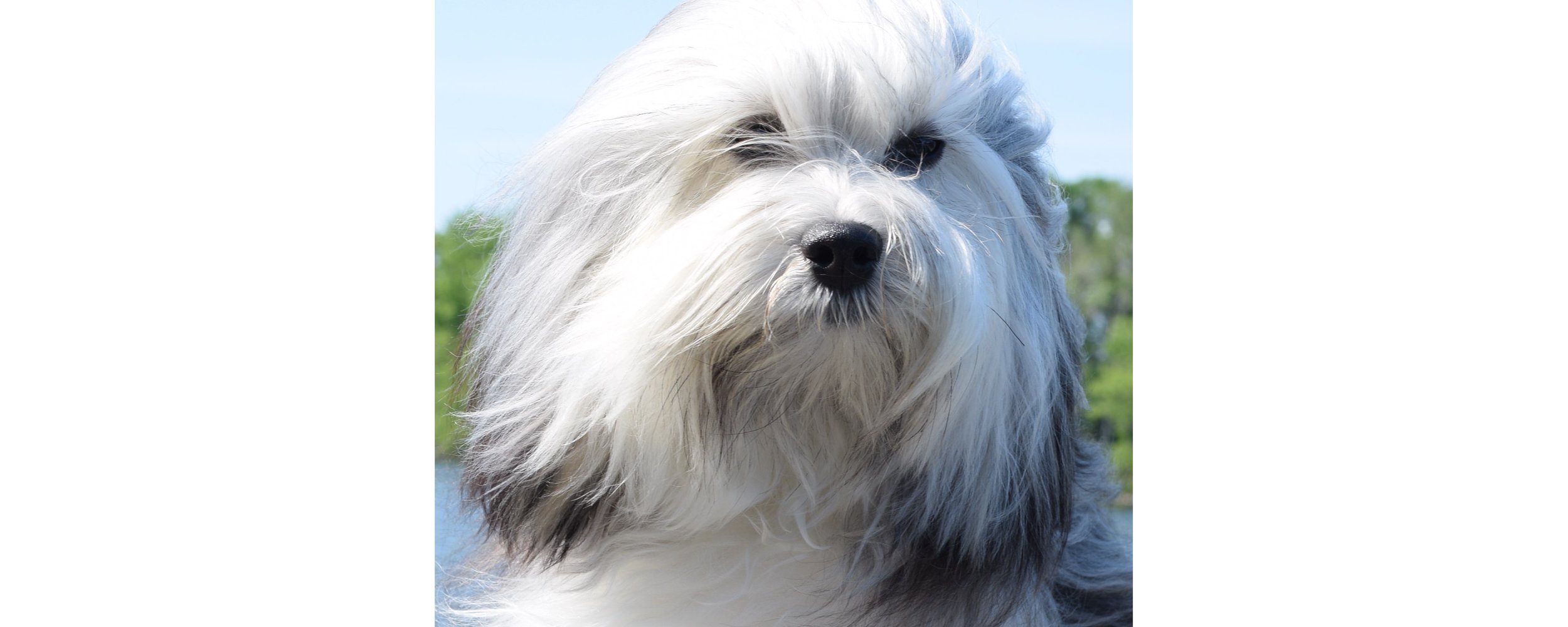 Lennox for Hero Gallery.jpg