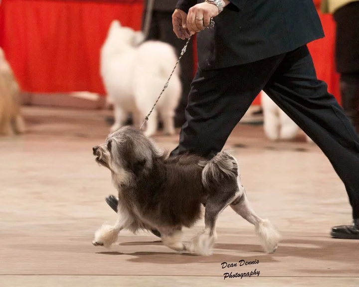 Stella with Greg - May 2011.jpg